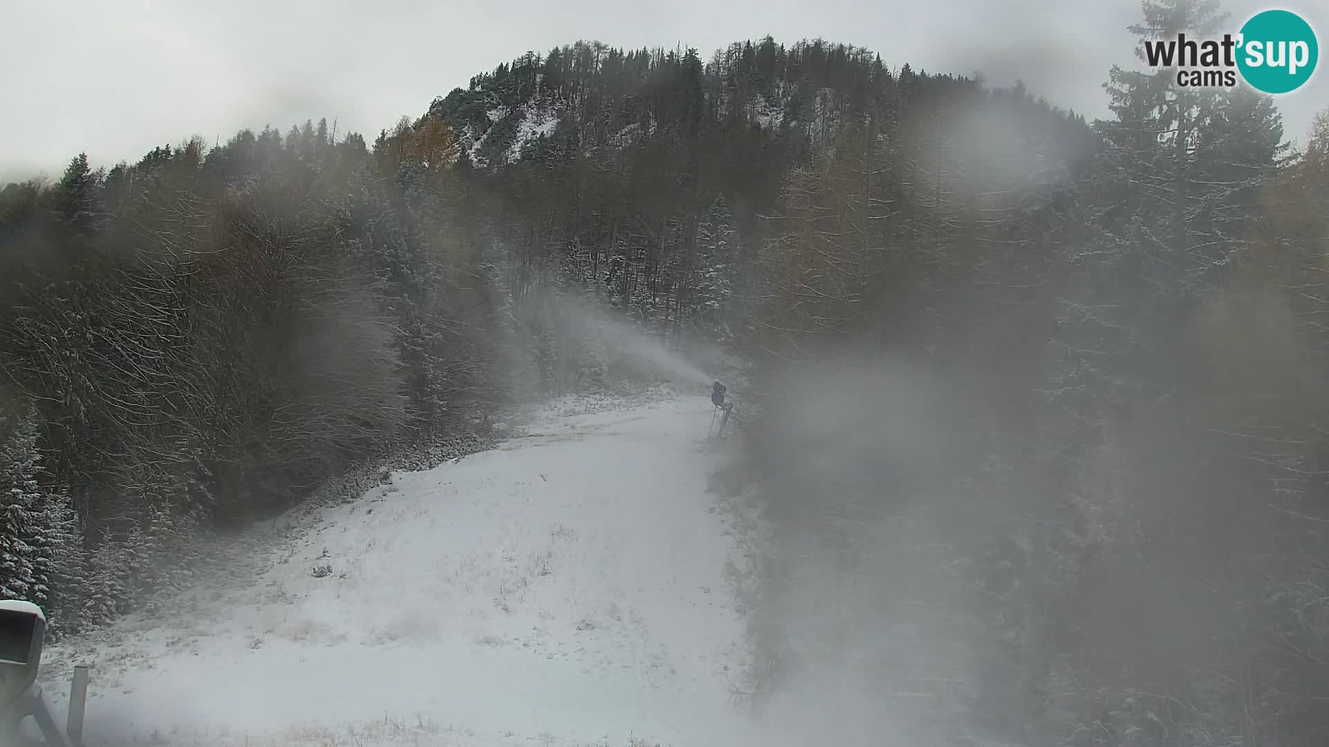 Kranjska Gora kamera VITRANC 1 | Zgornja postaja