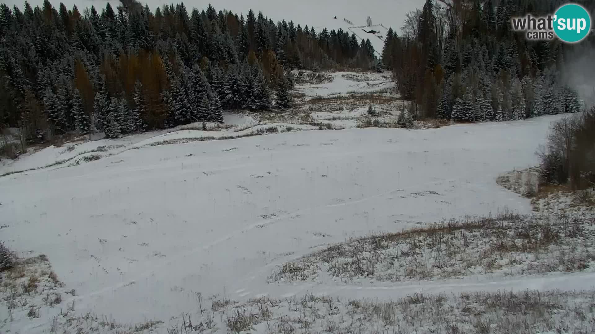 Kranjska Gora web kamera Vitranc | VITRANC 1 gornja postaja