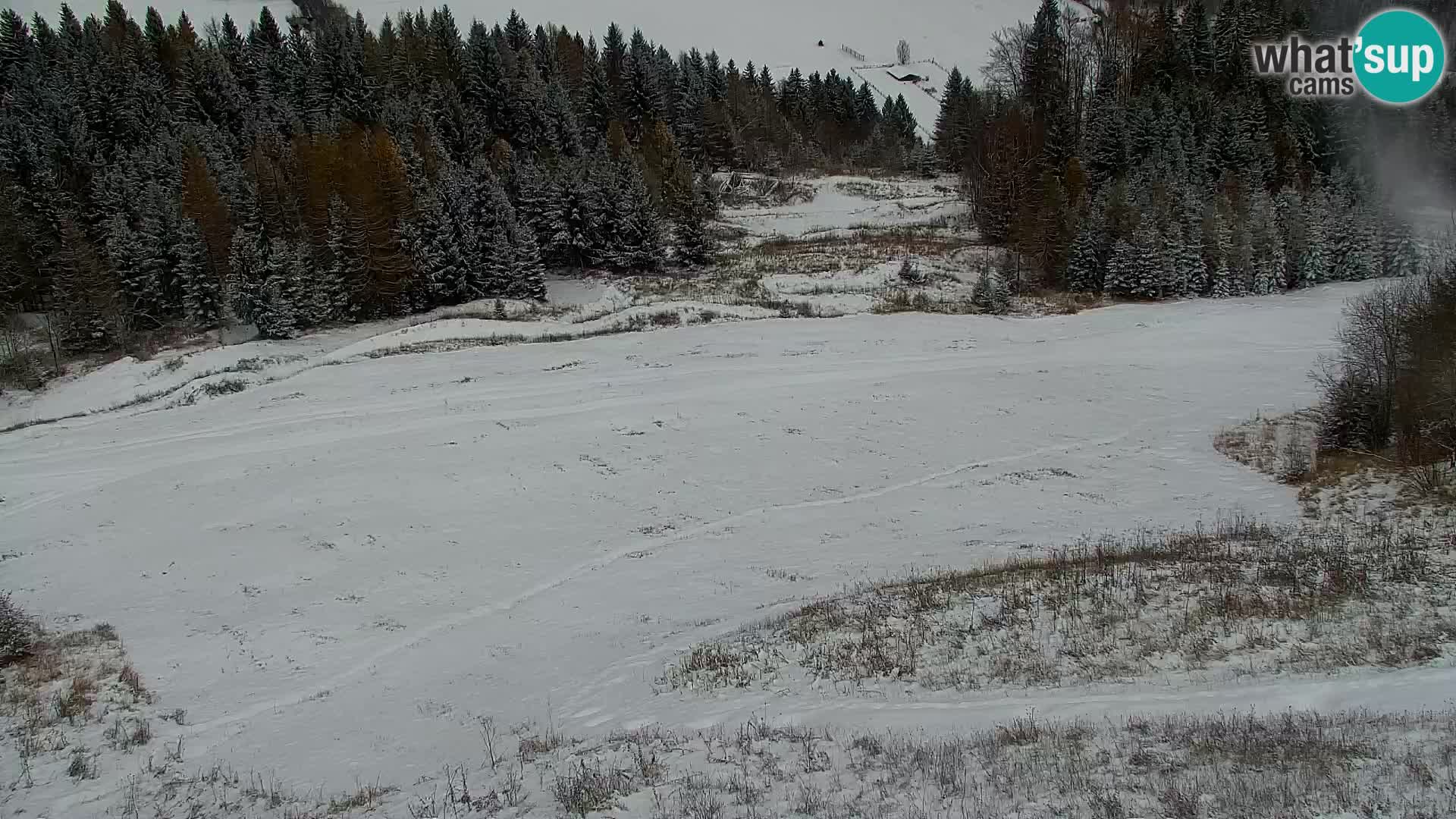 Kranjska Gora web kamera Vitranc | VITRANC 1 gornja postaja