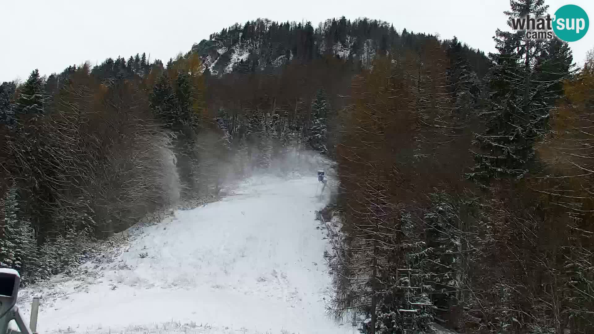 Kranjska Gora web kamera Vitranc | VITRANC 1 gornja postaja