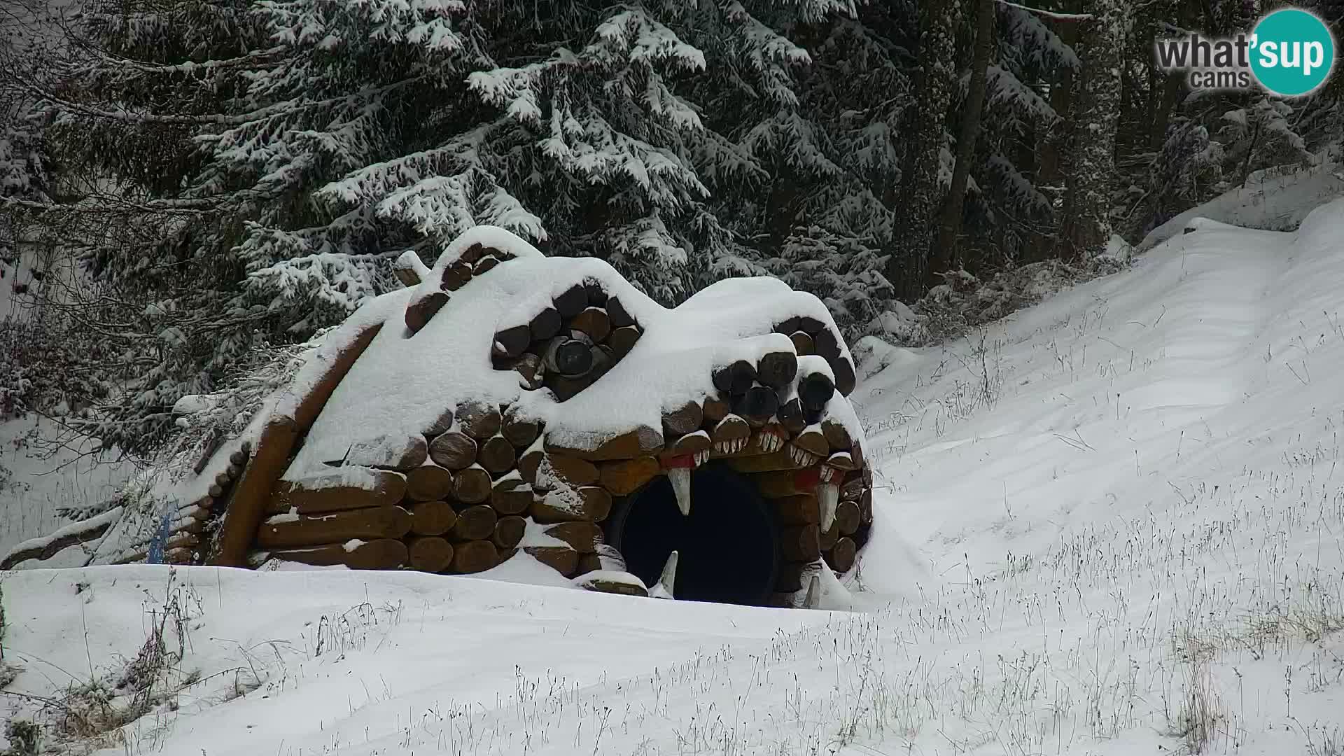 Kranjska Gora web kamera Vitranc | VITRANC 1 gornja postaja