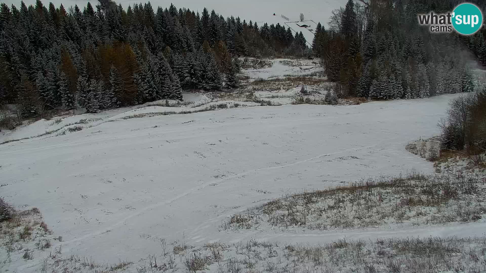 Kranjska Gora web kamera Vitranc | VITRANC 1 gornja postaja