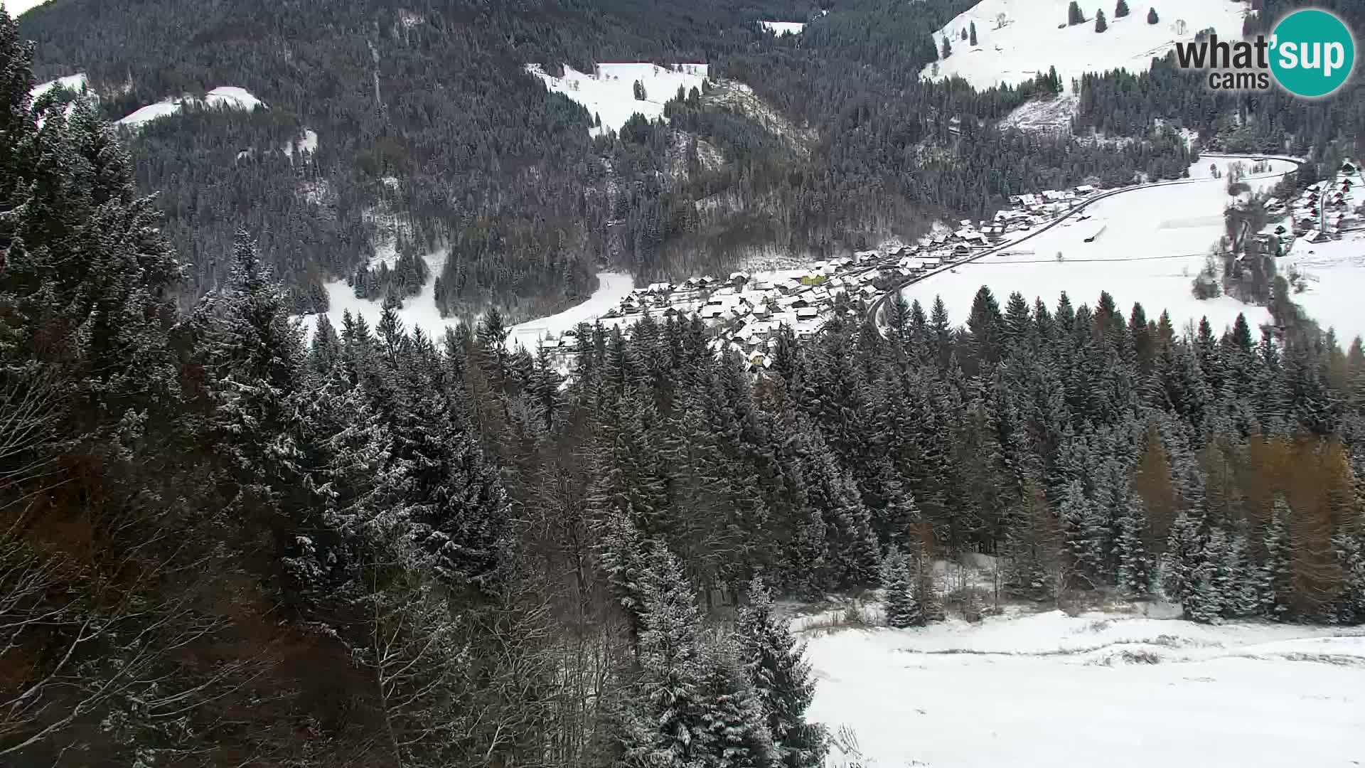 Vitranc Kranjska Gora webcam | VITRANC 1 stazione superiore