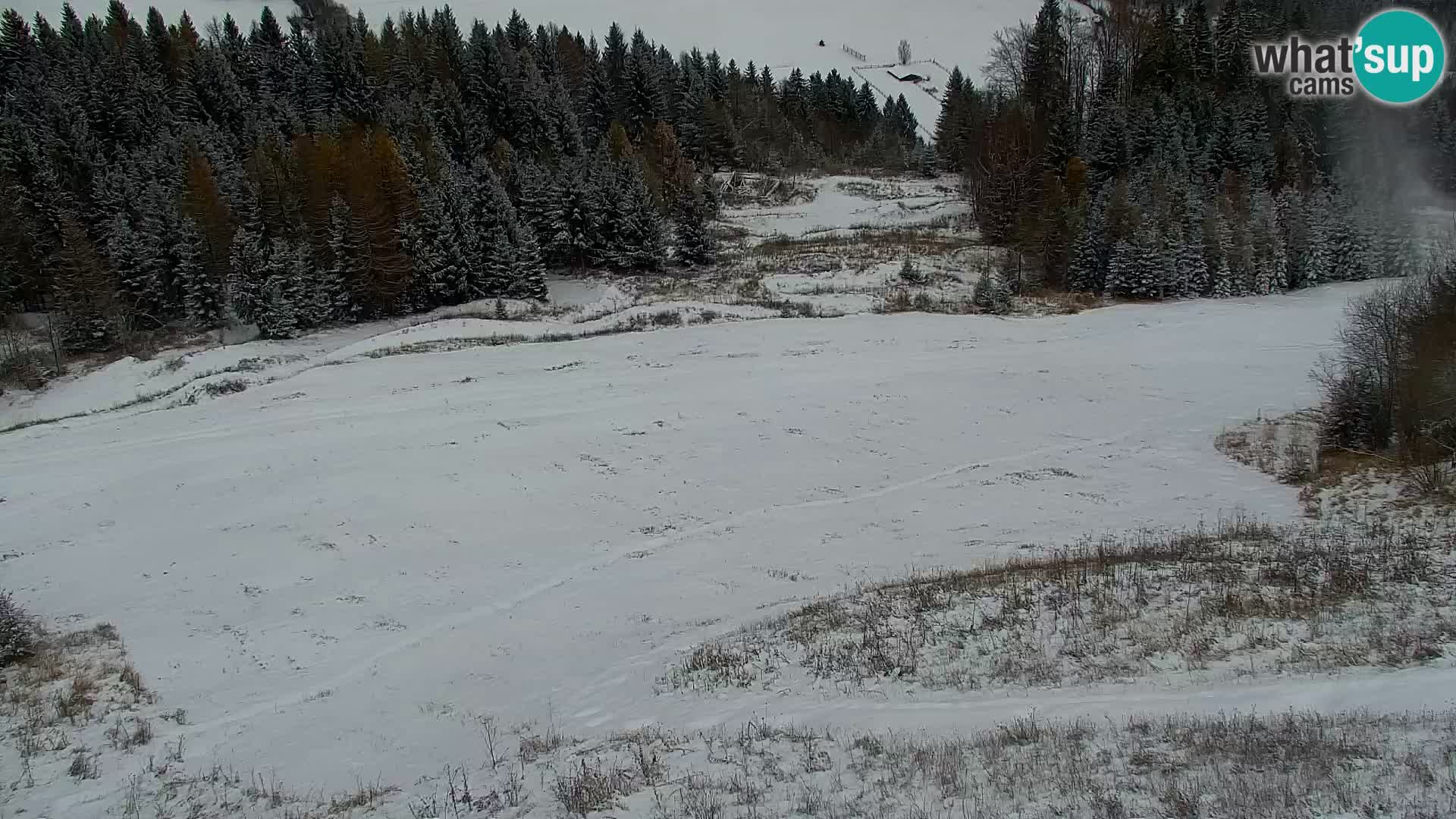 Kranjska Gora kamera VITRANC 1 | Zgornja postaja