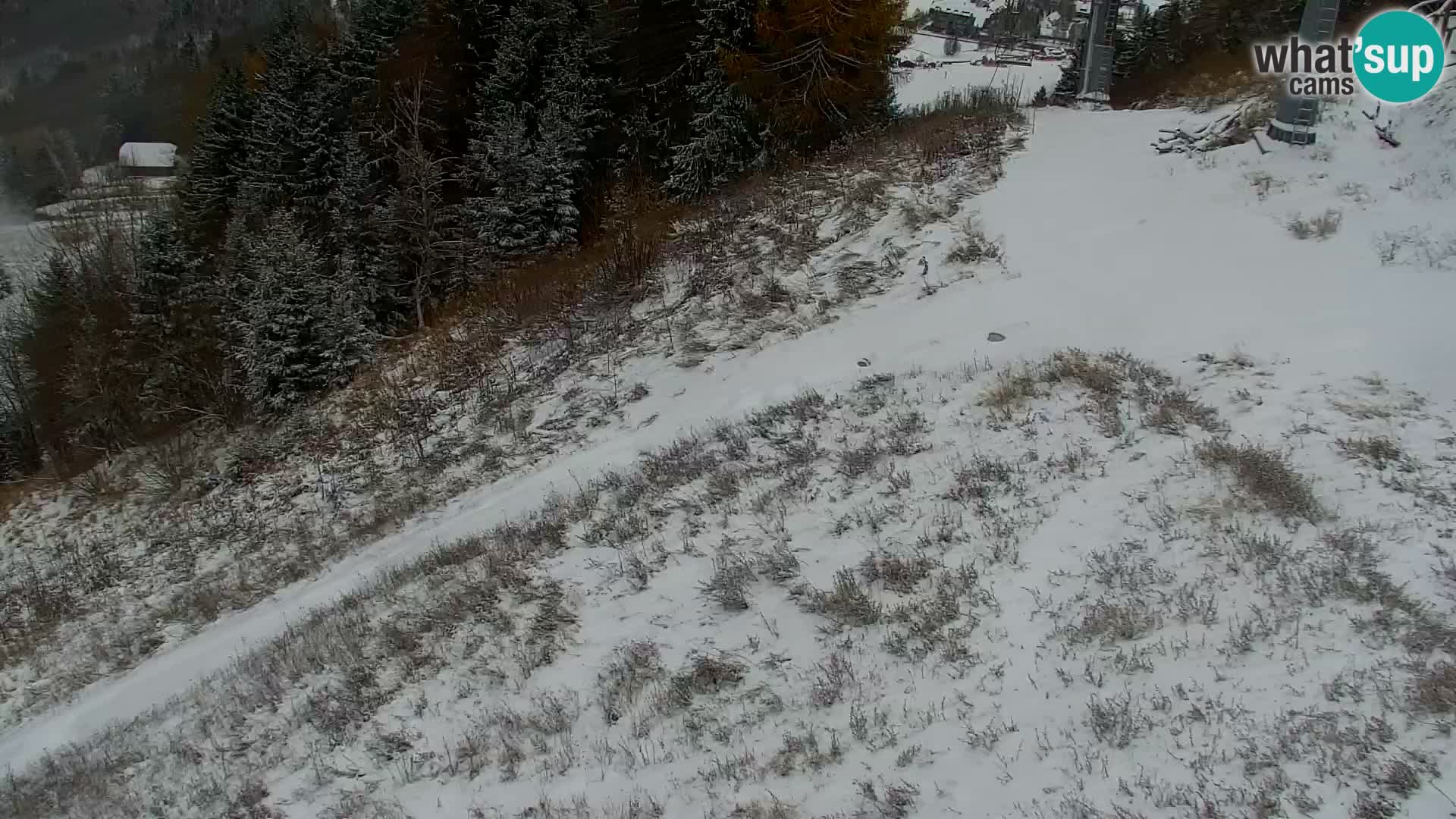 Vitranc Kranjska Gora webcam | VITRANC 1 stazione superiore