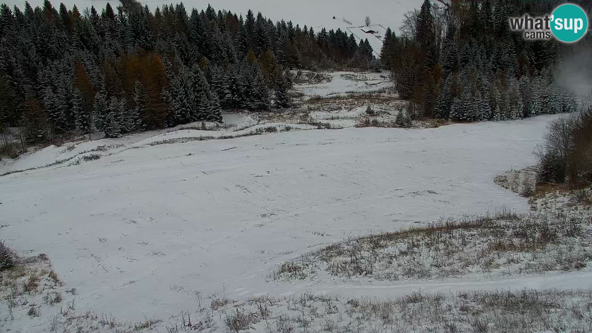 Kranjska Gora web kamera Vitranc | VITRANC 1 gornja postaja