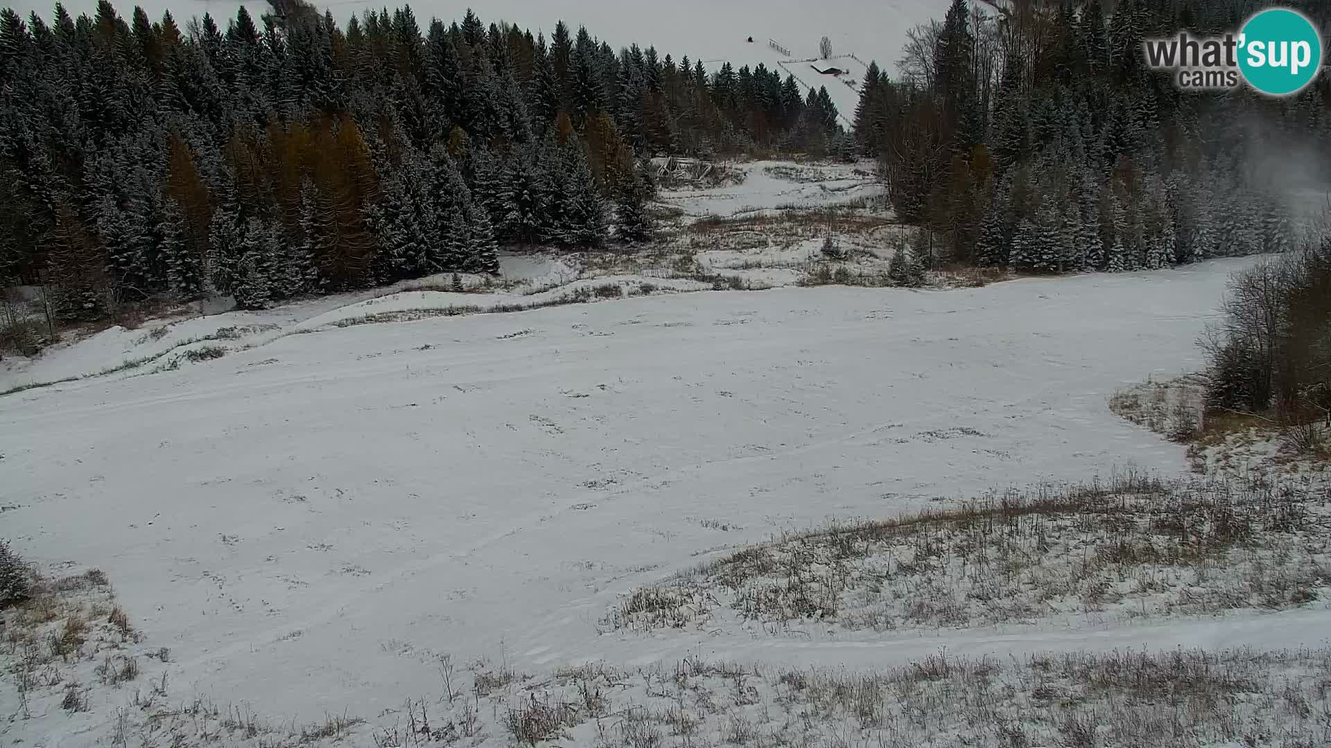 Vitranc Kranjska Gora webcam | VITRANC 1 stazione superiore