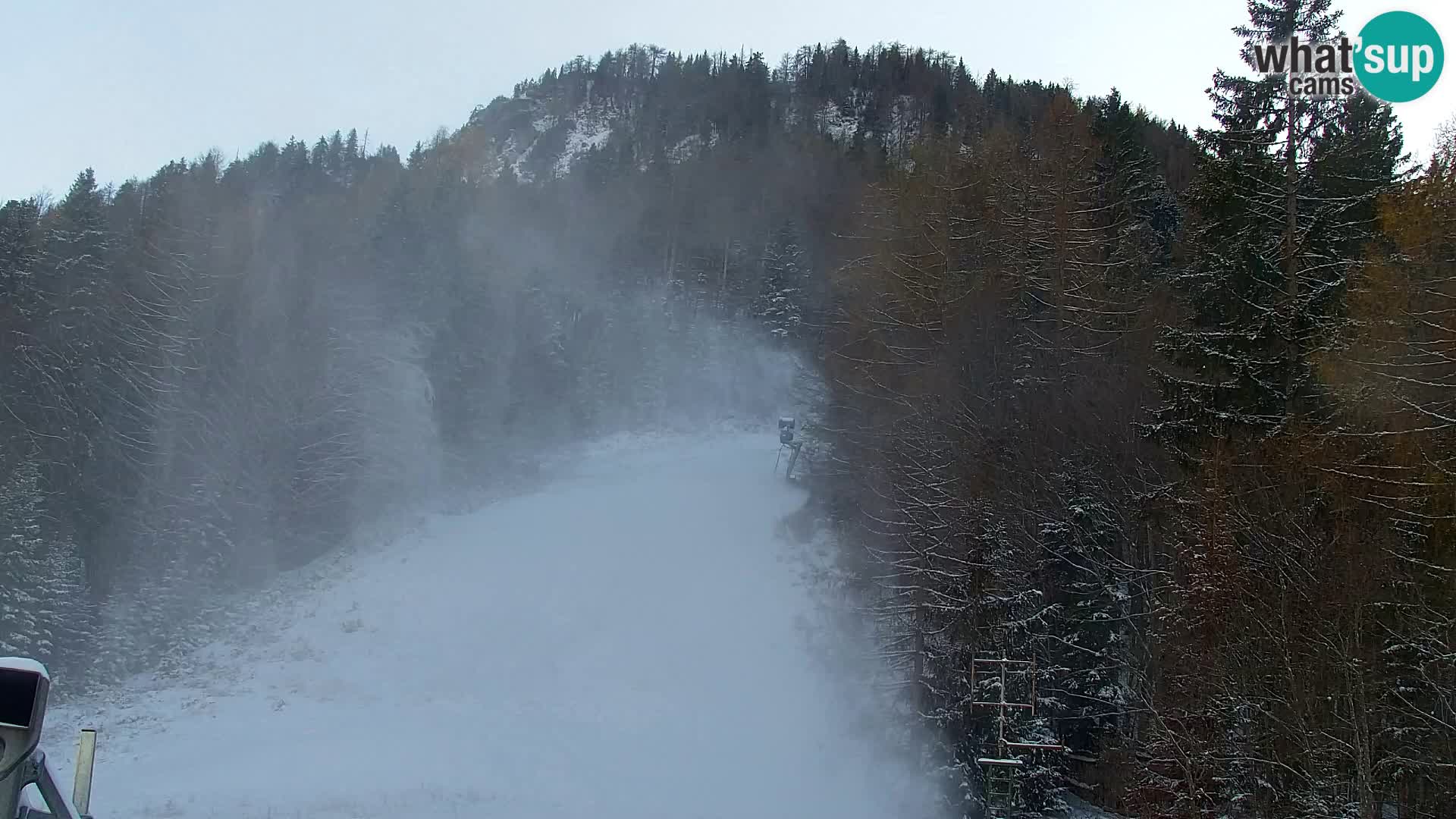 Vitranc Kranjska Gora webcam | VITRANC 1 stazione superiore