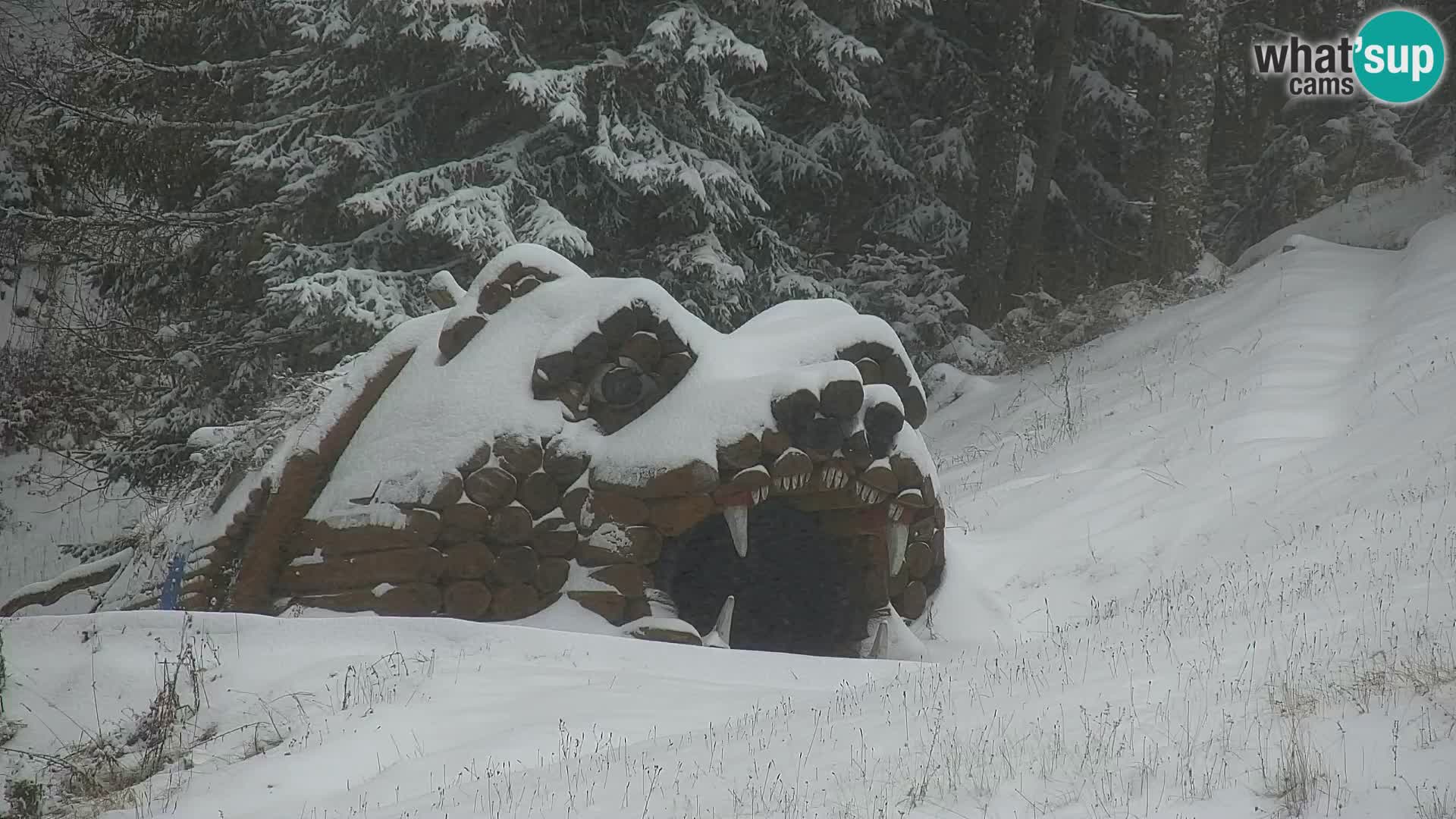 RTC Kranjska Gora – Vitranc