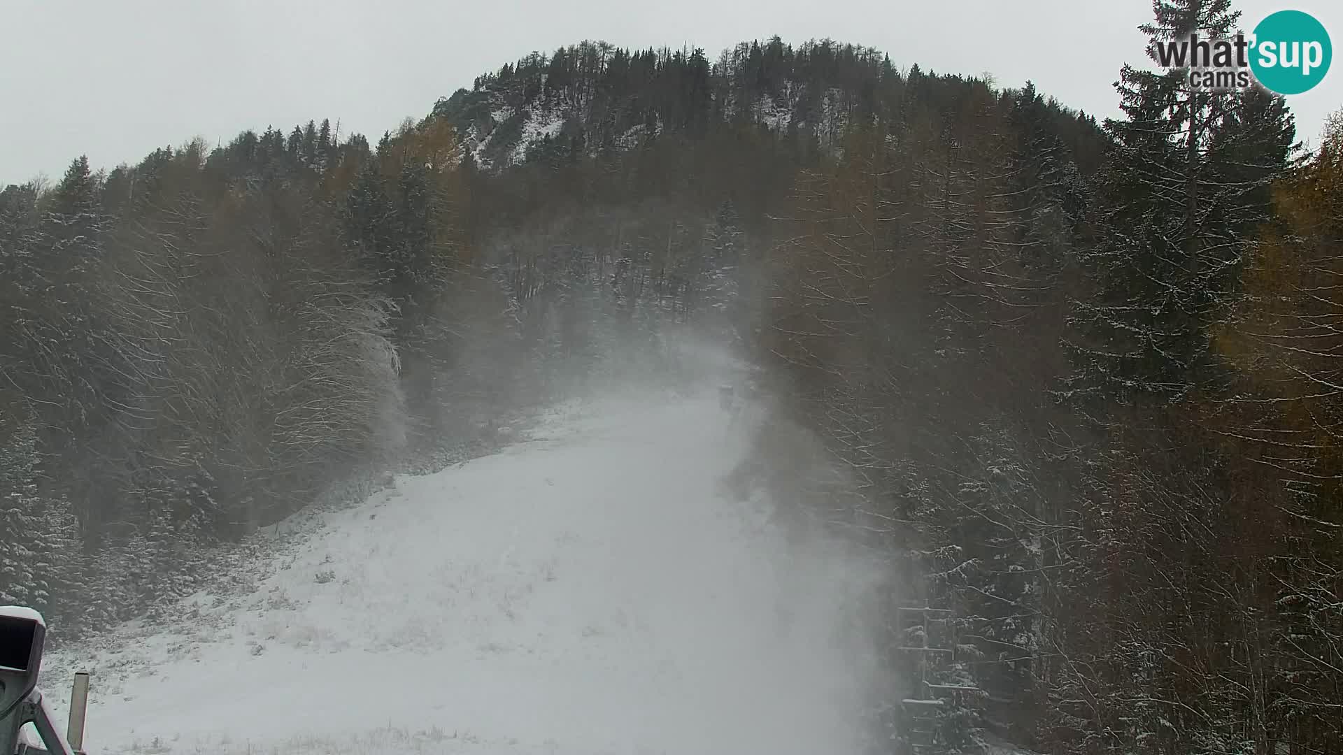 Kranjska Gora webcam VITRANC 1 | obere Station