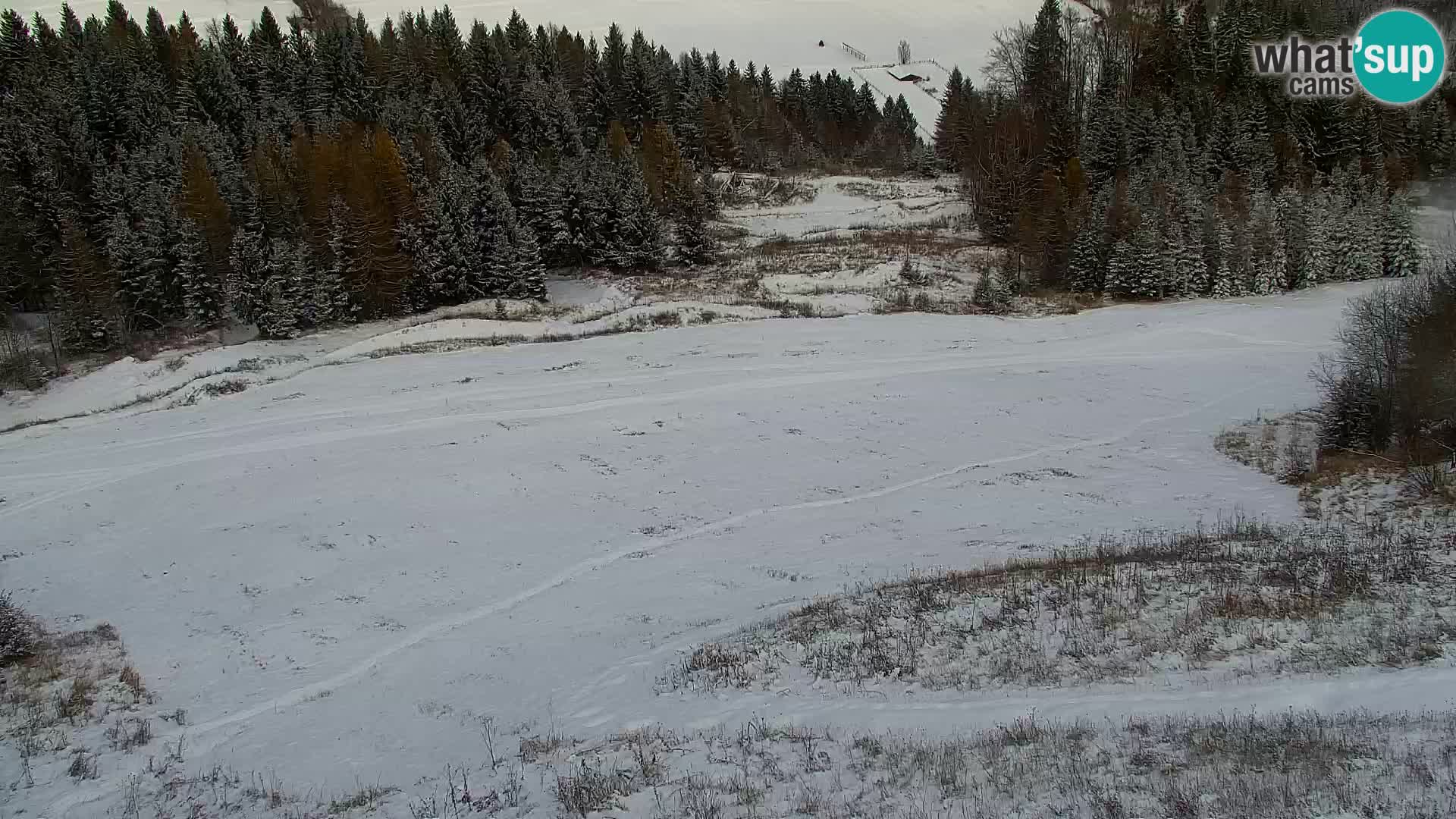 Kranjska Gora kamera VITRANC 1 | Zgornja postaja