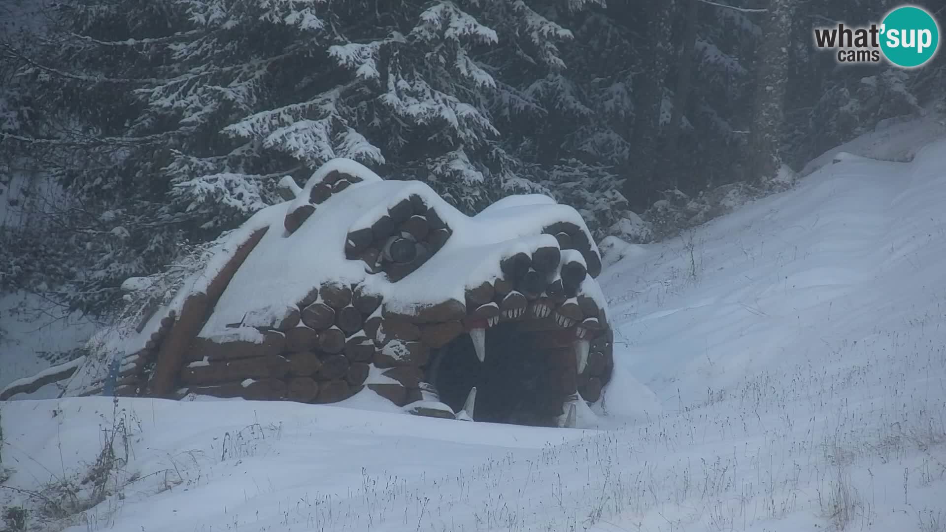 Kranjska Gora kamera VITRANC 1 | Zgornja postaja