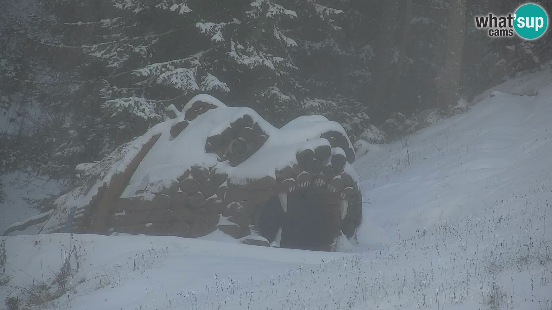 Kranjska Gora kamera VITRANC 1 | Zgornja postaja