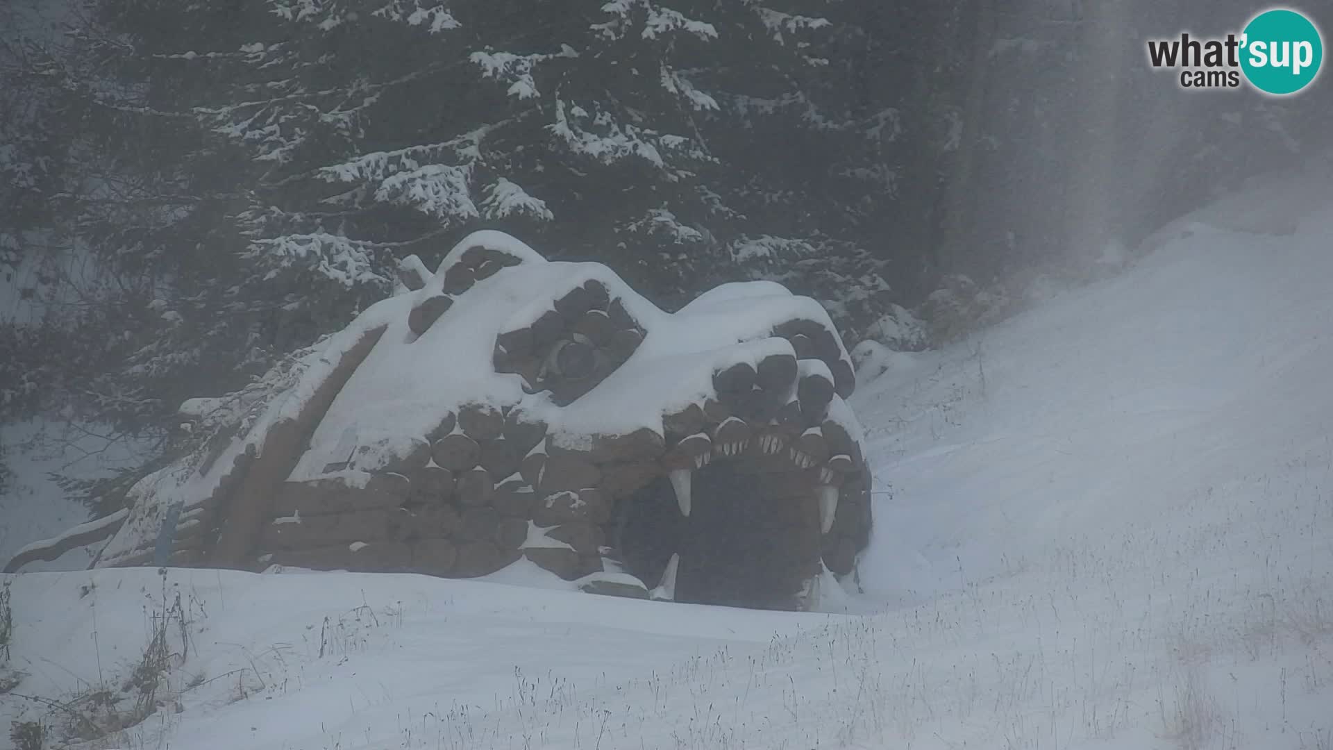 Kranjska Gora kamera VITRANC 1 | Zgornja postaja