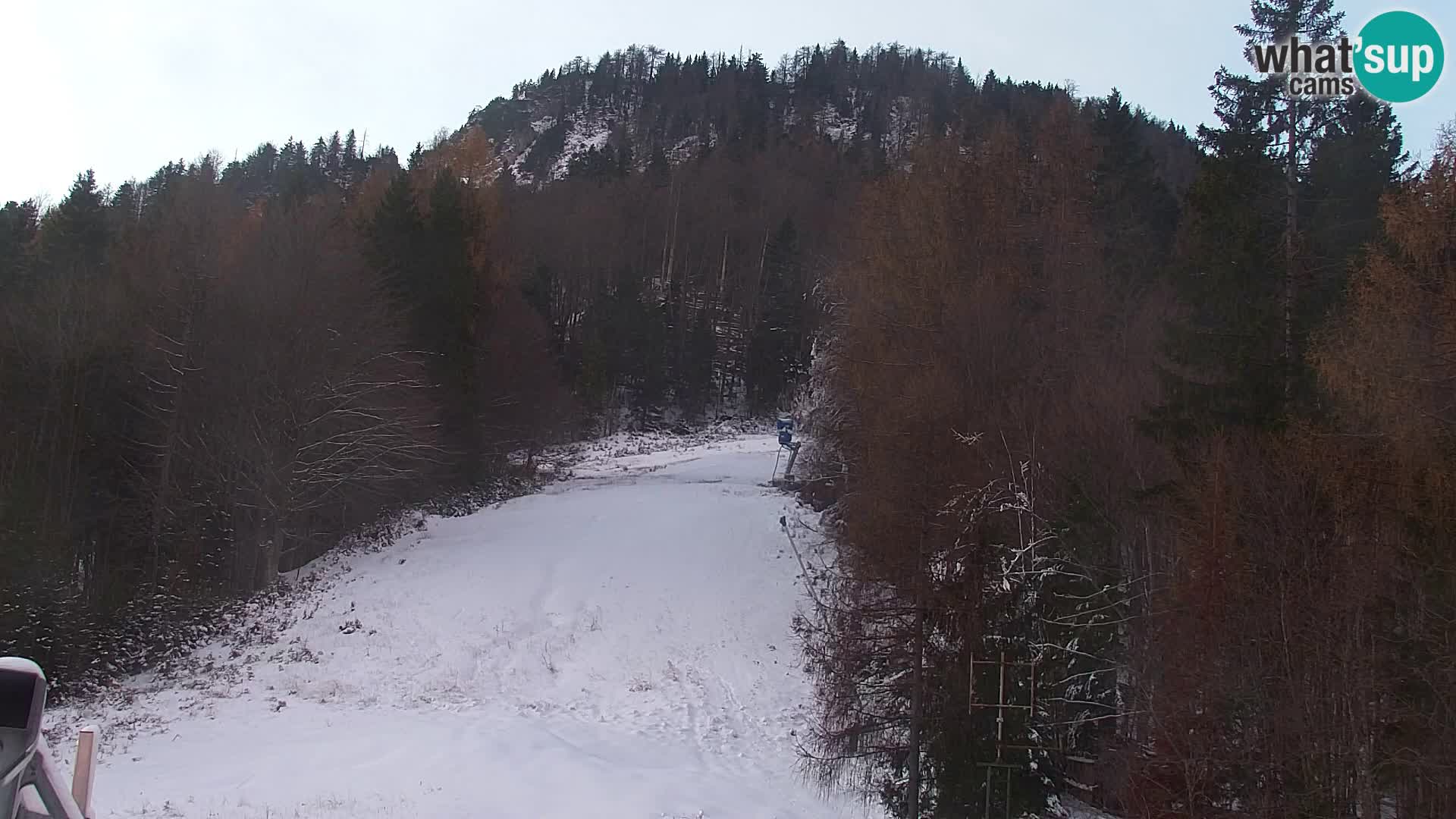 Kranjska Gora kamera VITRANC 1 | Zgornja postaja