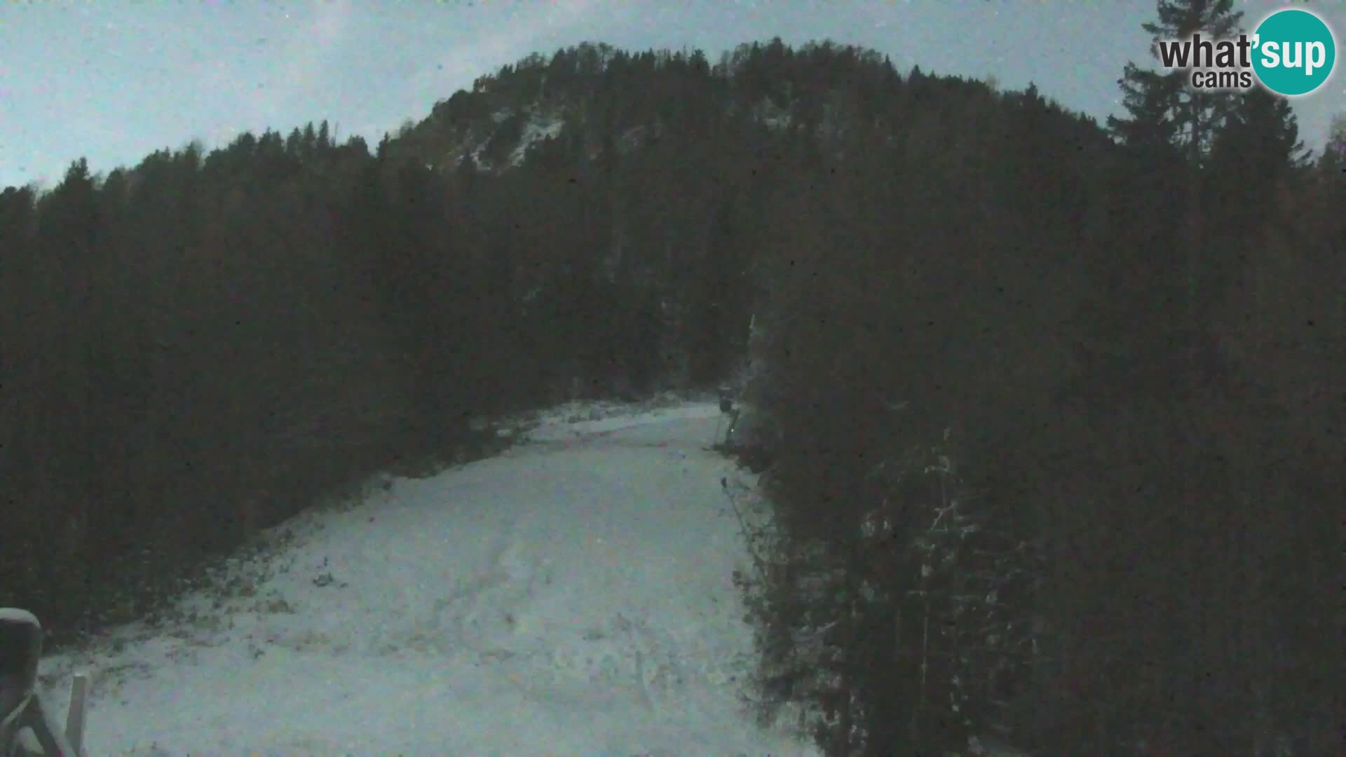 Vitranc Kranjska Gora webcam | VITRANC 1 stazione superiore