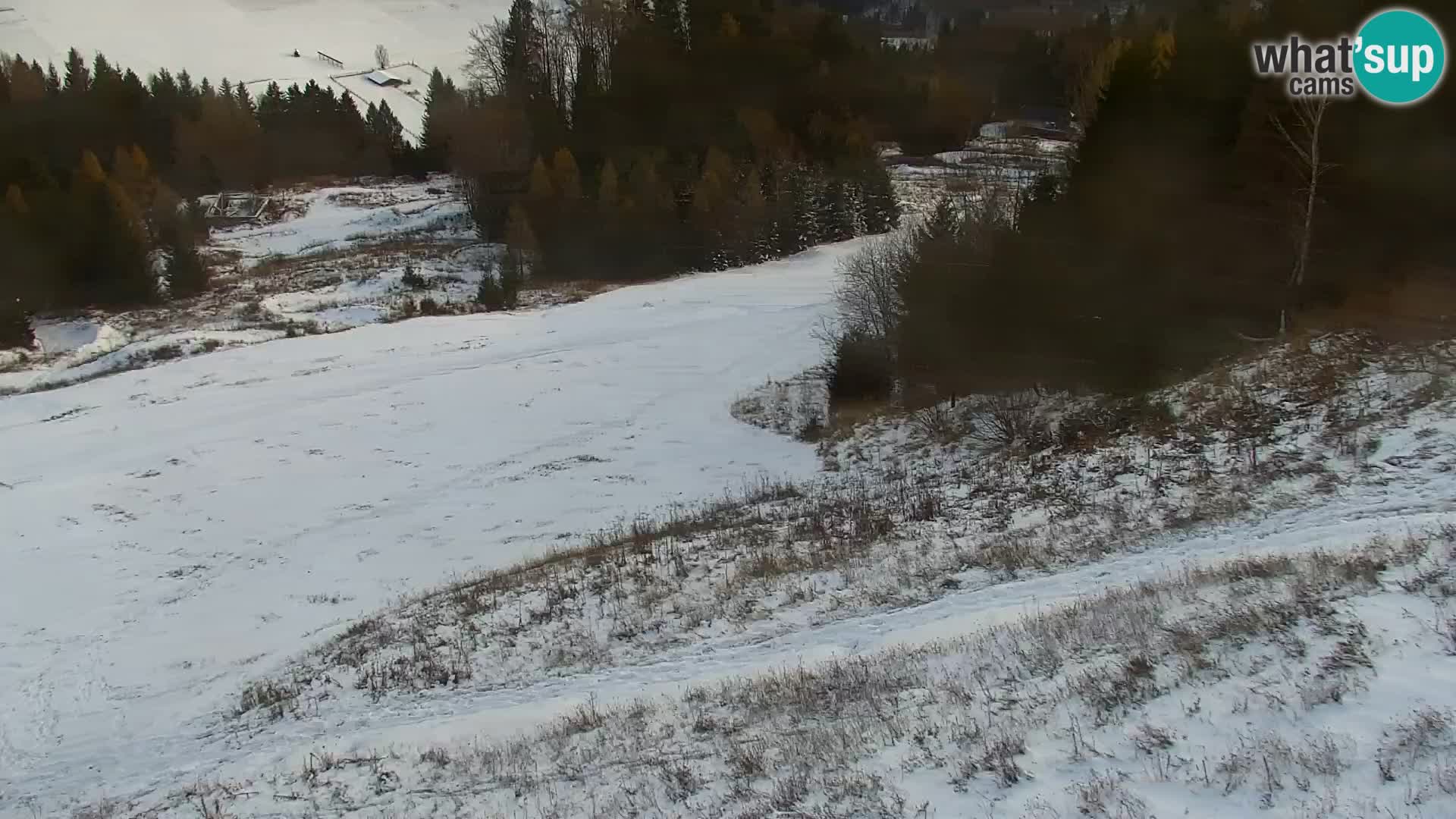 Vitranc Kranjska Gora webcam | VITRANC 1 stazione superiore