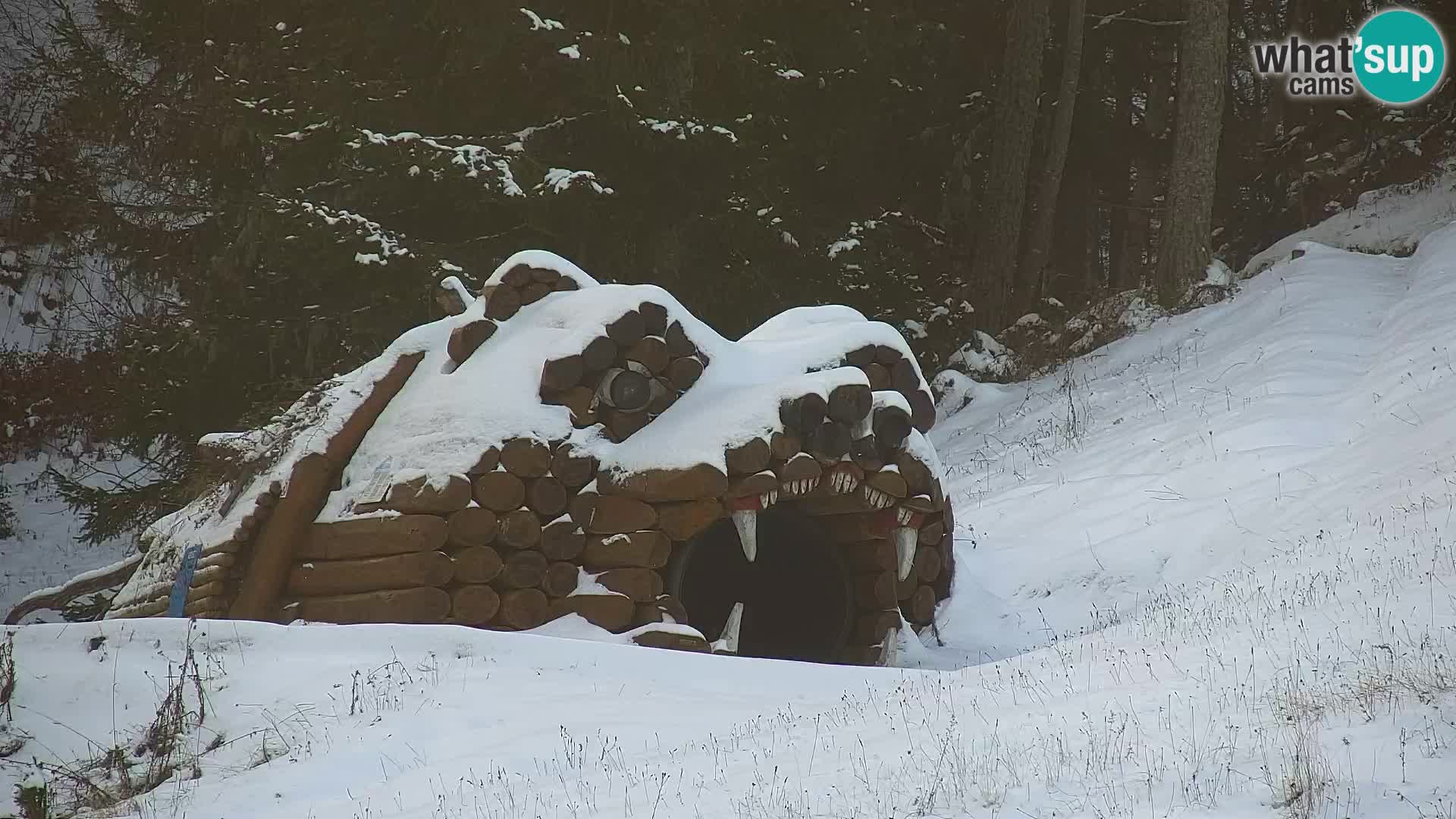 RTC Kranjska Gora – Vitranc