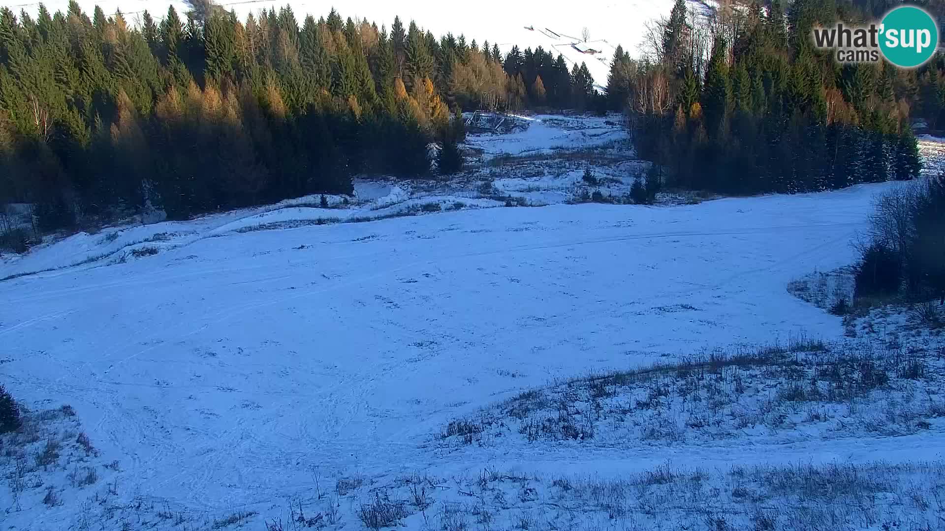 Vitranc Kranjska Gora webcam | VITRANC 1 stazione superiore