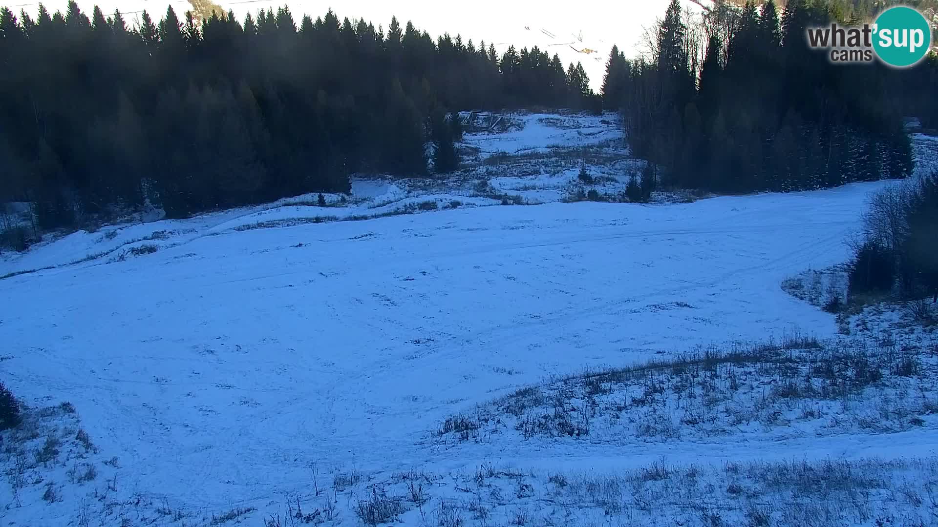 Vitranc Kranjska Gora webcam | VITRANC 1 stazione superiore