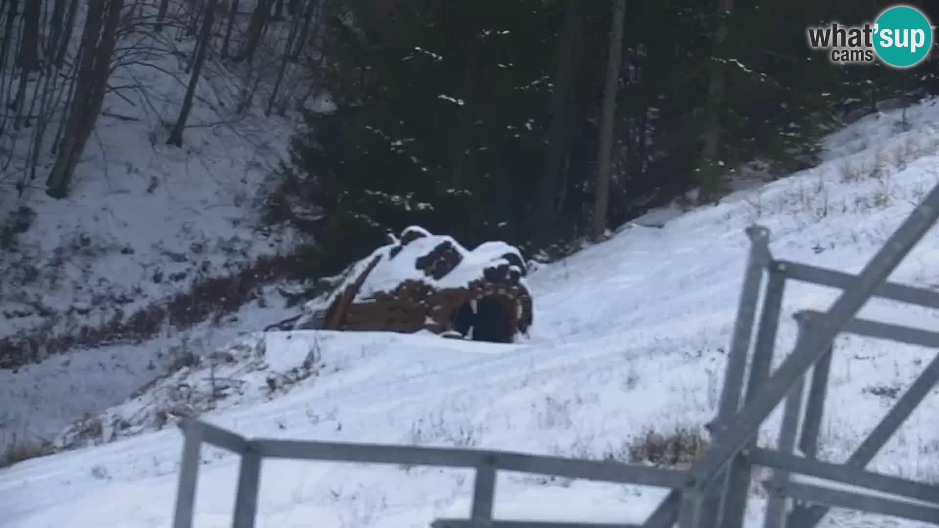 RTC Kranjska Gora – Vitranc