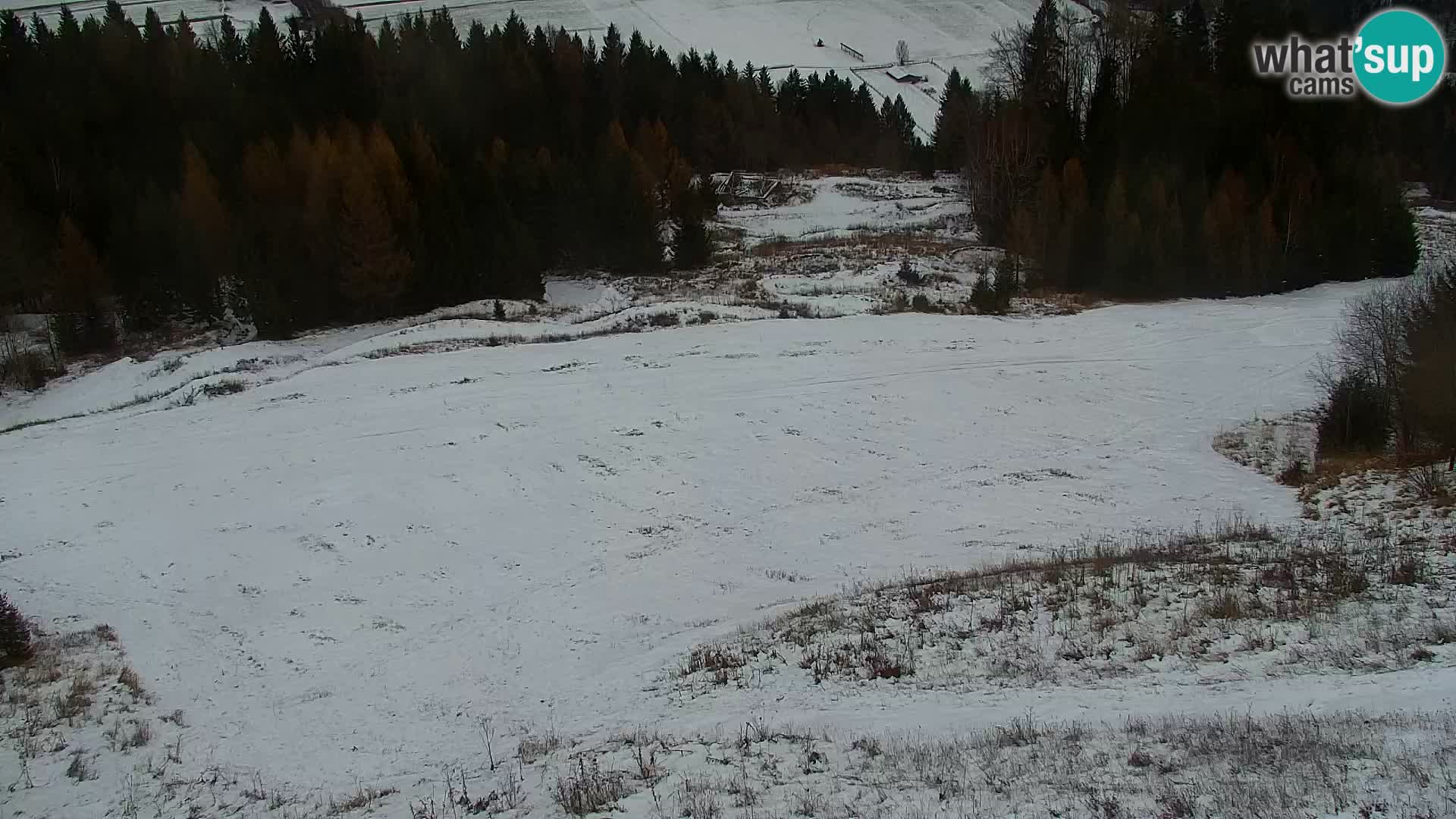 Estación de esquí Kranjska Gora | Estación superior VITRANC 1