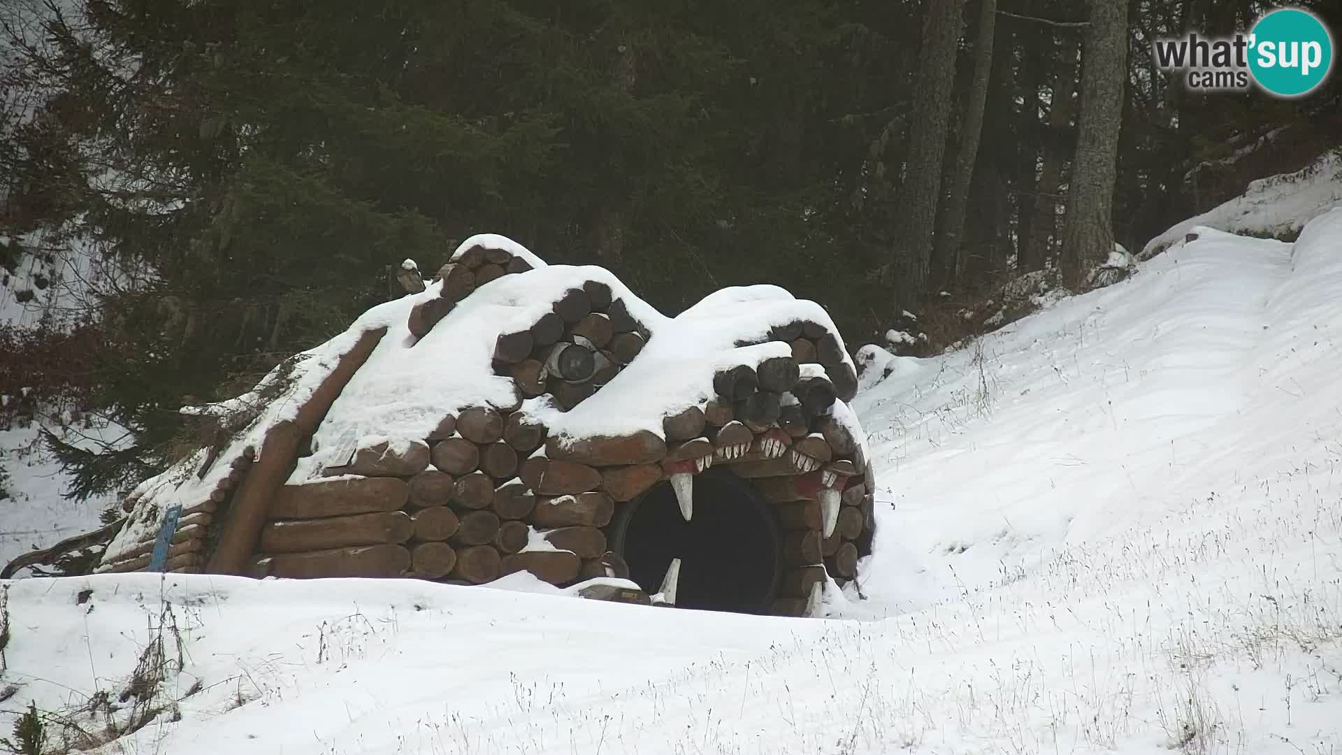 RTC Kranjska Gora – Vitranc