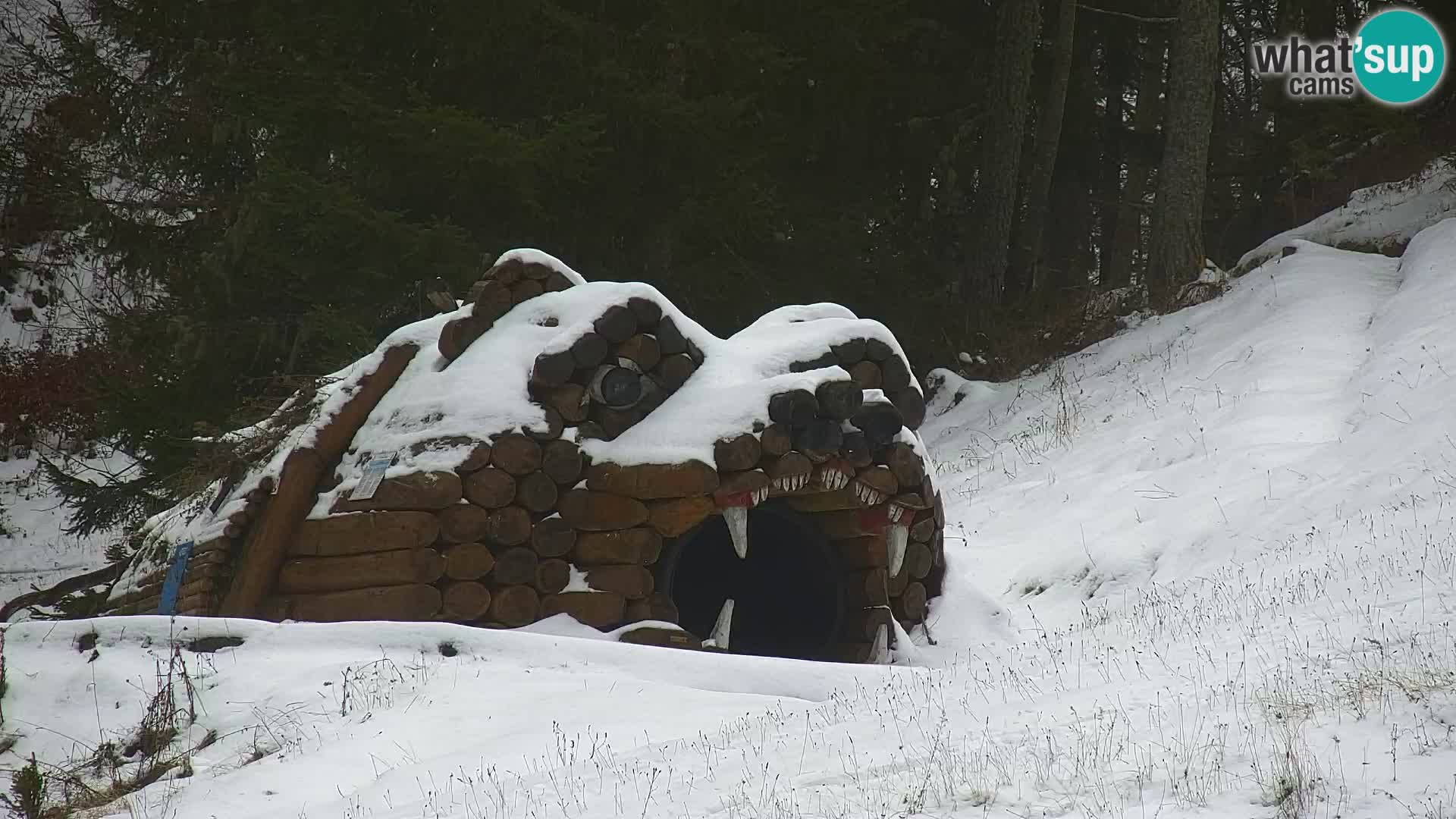 Kranjska Gora kamera VITRANC 1 | Zgornja postaja