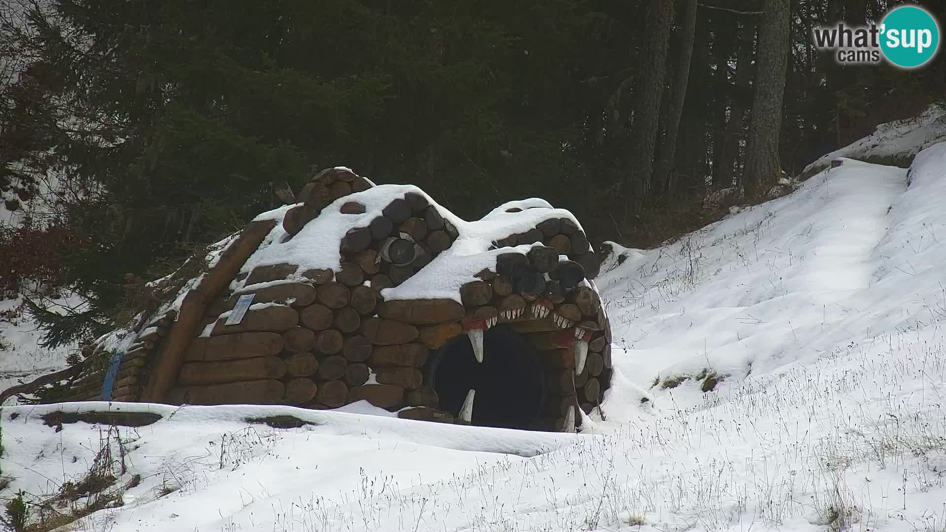 RTC Kranjska Gora – Vitranc