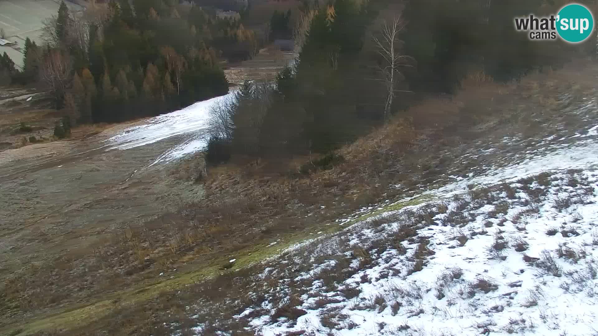 Vitranc Kranjska Gora webcam | VITRANC 1 stazione superiore