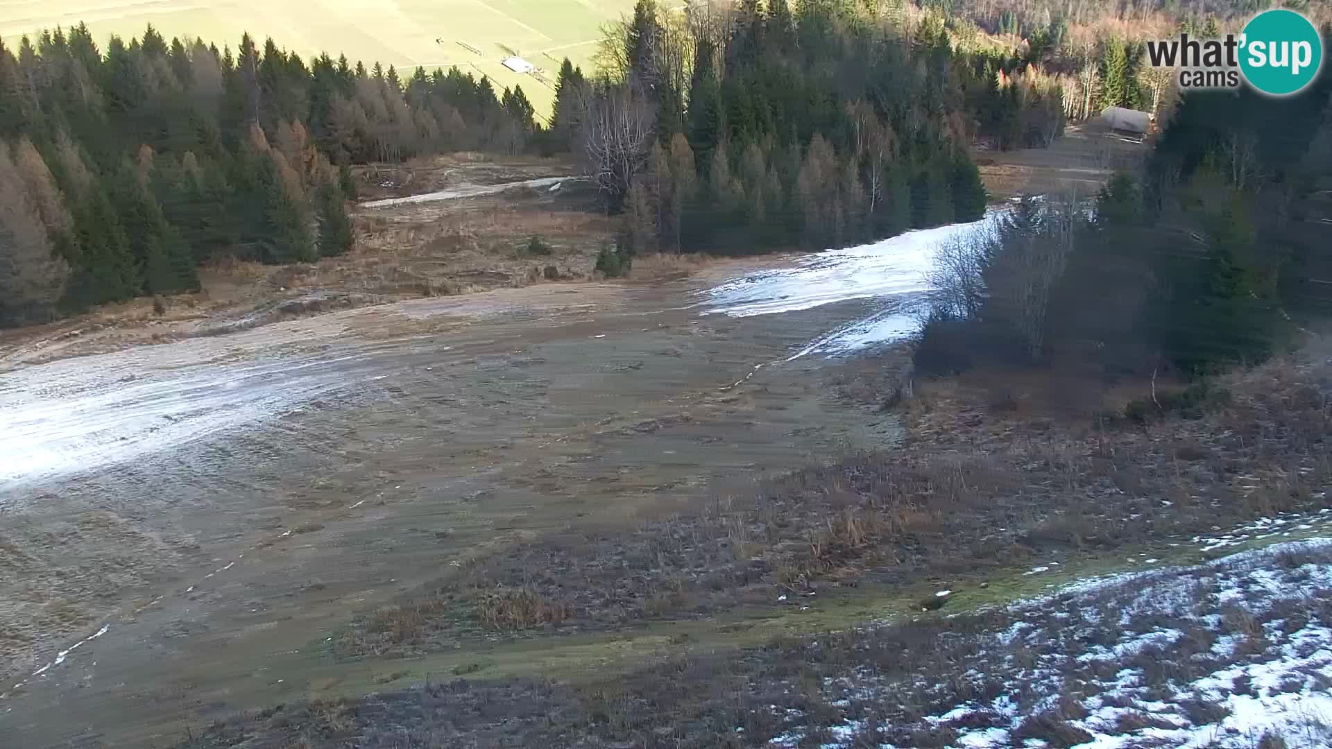 Vitranc Kranjska Gora webcam | VITRANC 1 stazione superiore