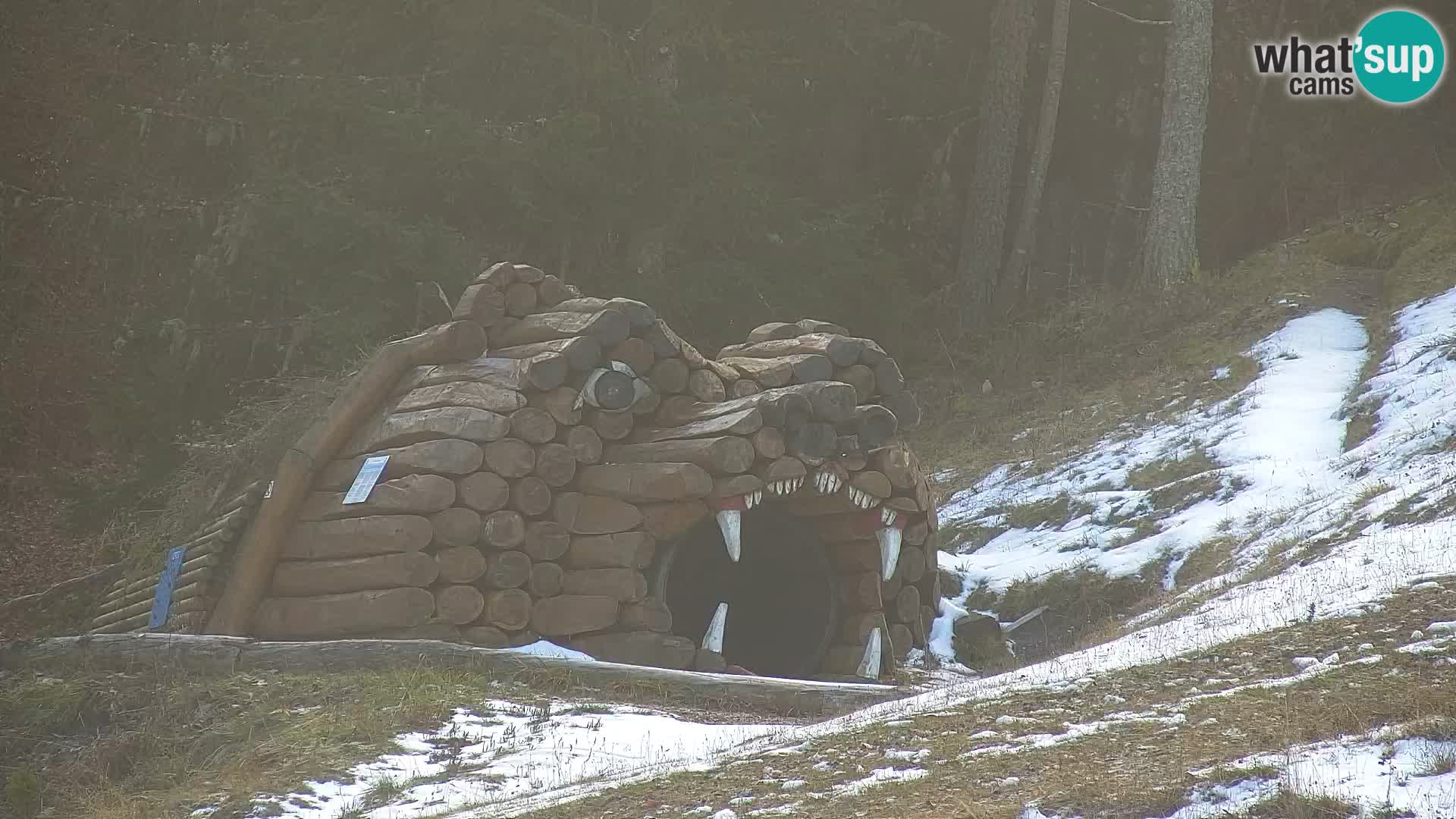 Kranjska Gora kamera VITRANC 1 | Zgornja postaja