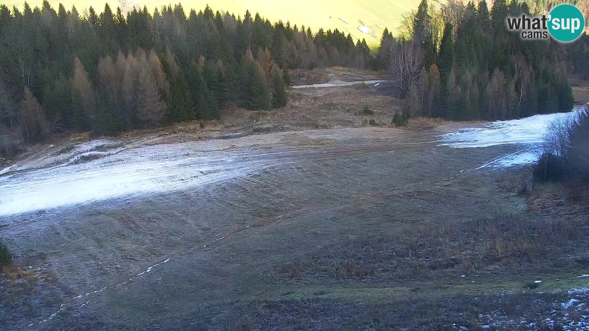 Vitranc Kranjska Gora webcam | VITRANC 1 stazione superiore