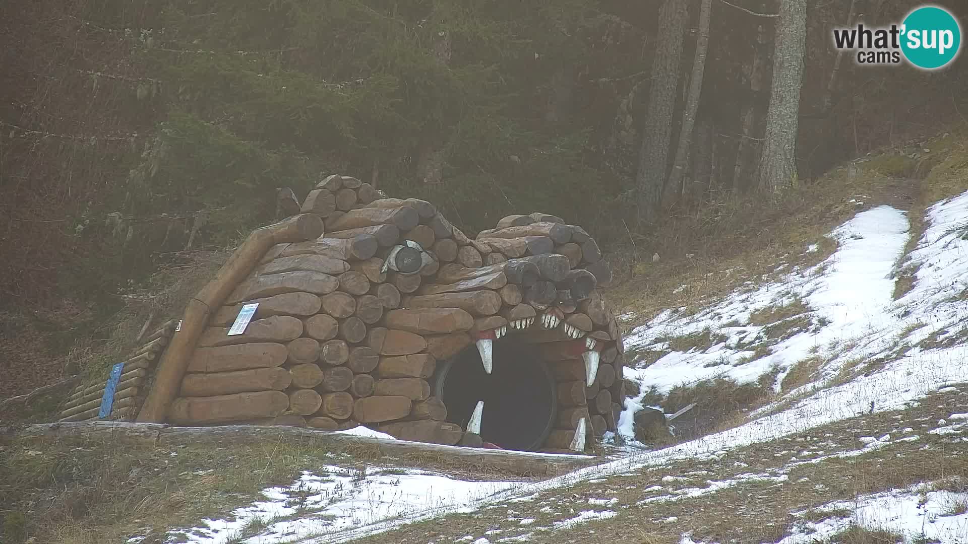 RTC Kranjska Gora – Vitranc