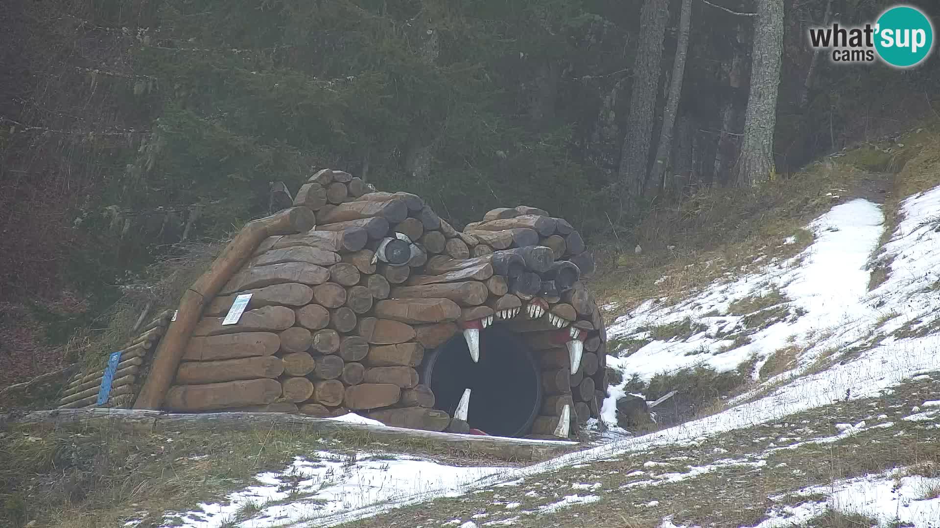 Kranjska Gora web kamera Vitranc | VITRANC 1 gornja postaja