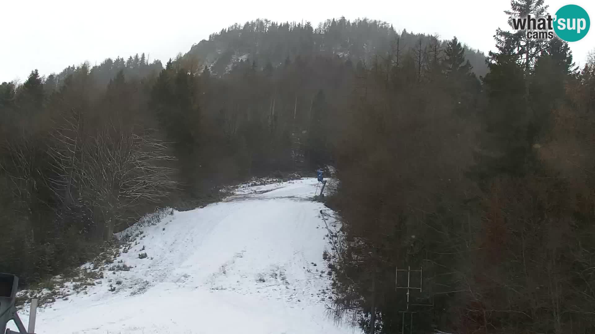 Vitranc Kranjska Gora webcam | VITRANC 1 stazione superiore