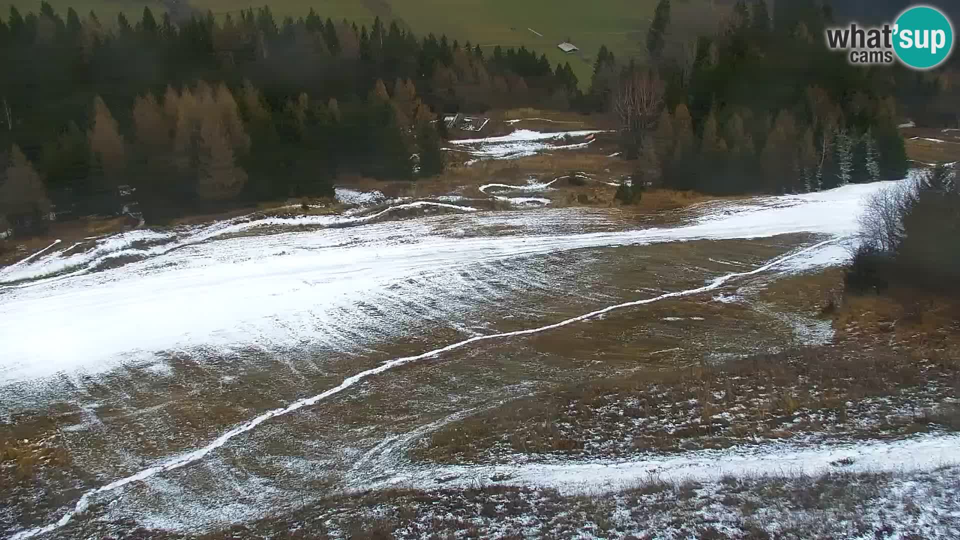 Kranjska Gora web kamera Vitranc | VITRANC 1 gornja postaja