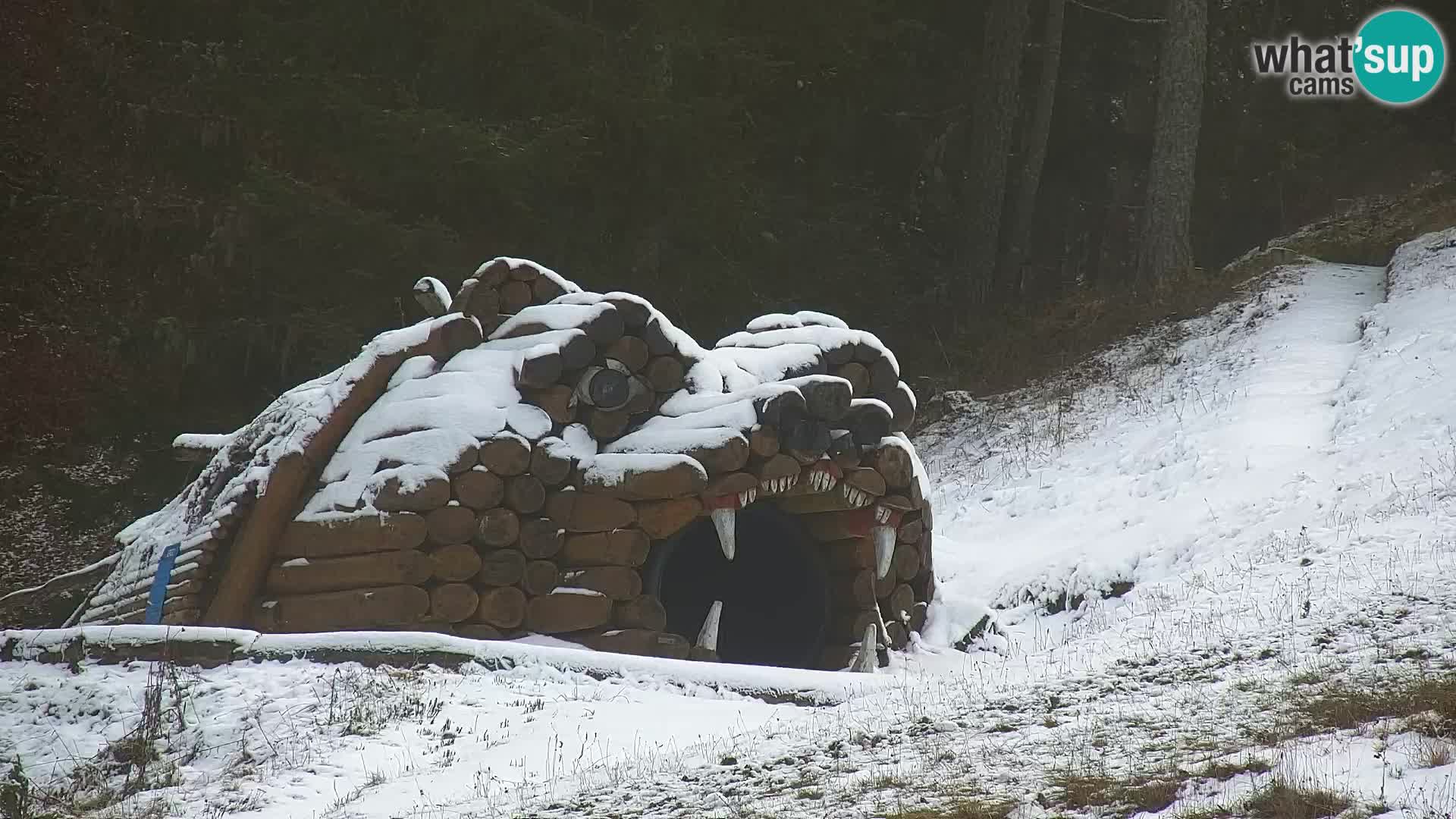 Kranjska Gora kamera VITRANC 1 | Zgornja postaja