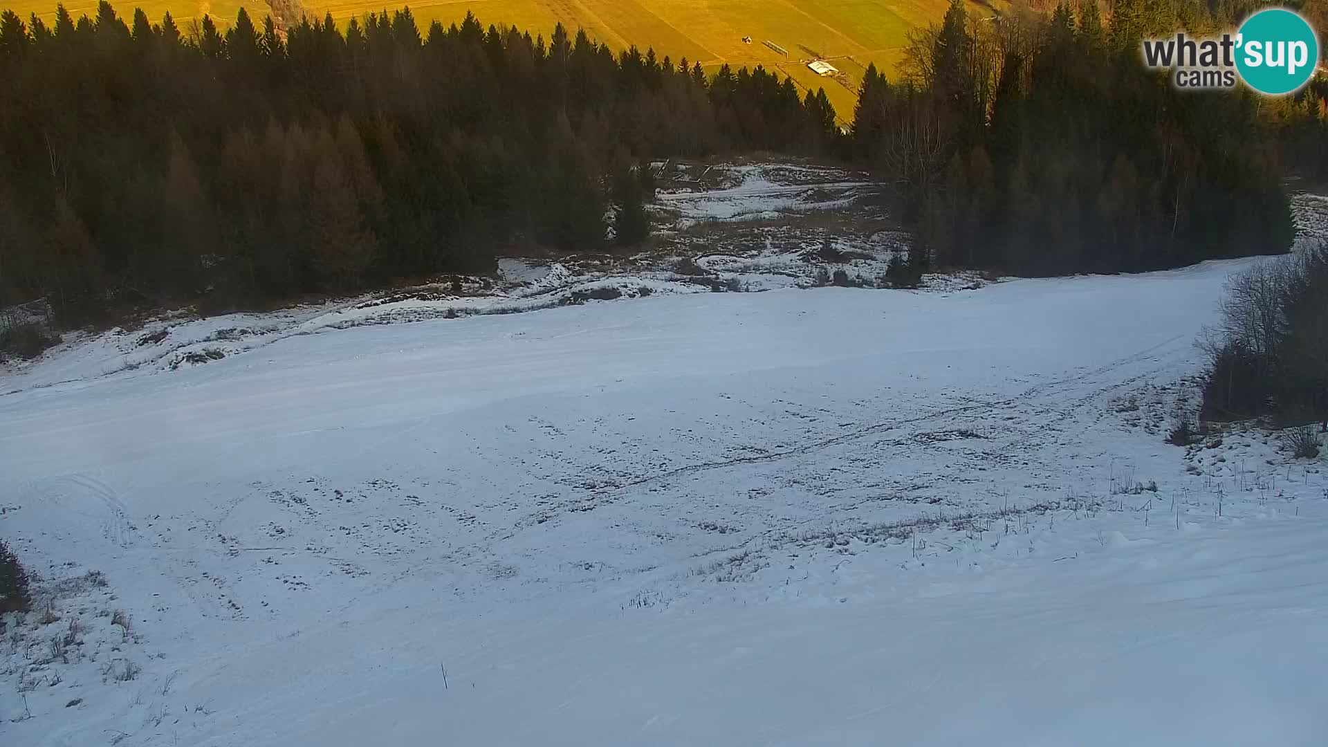 Kranjska Gora web kamera Vitranc | VITRANC 1 gornja postaja