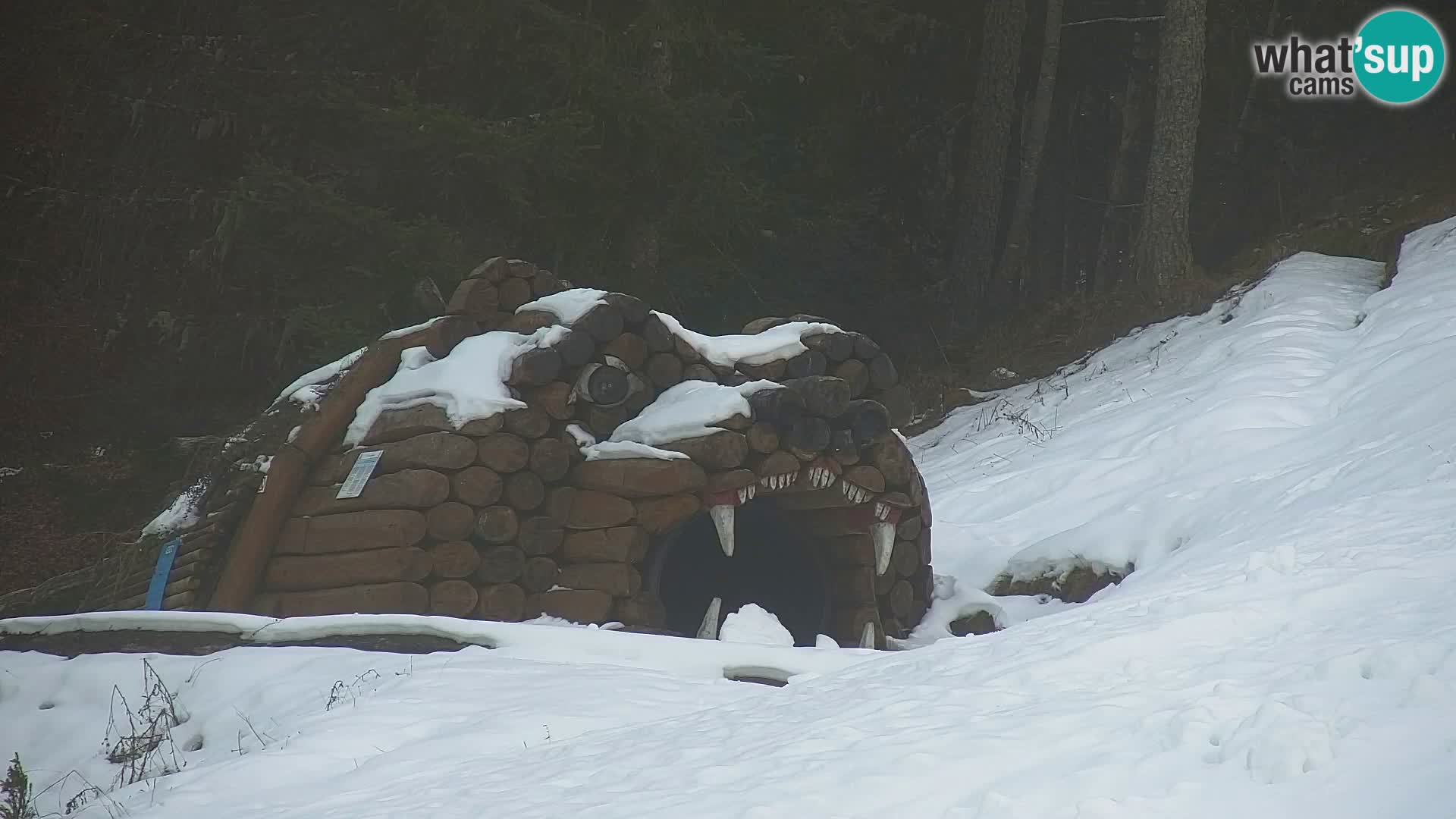 Kranjska Gora web kamera Vitranc | VITRANC 1 gornja postaja