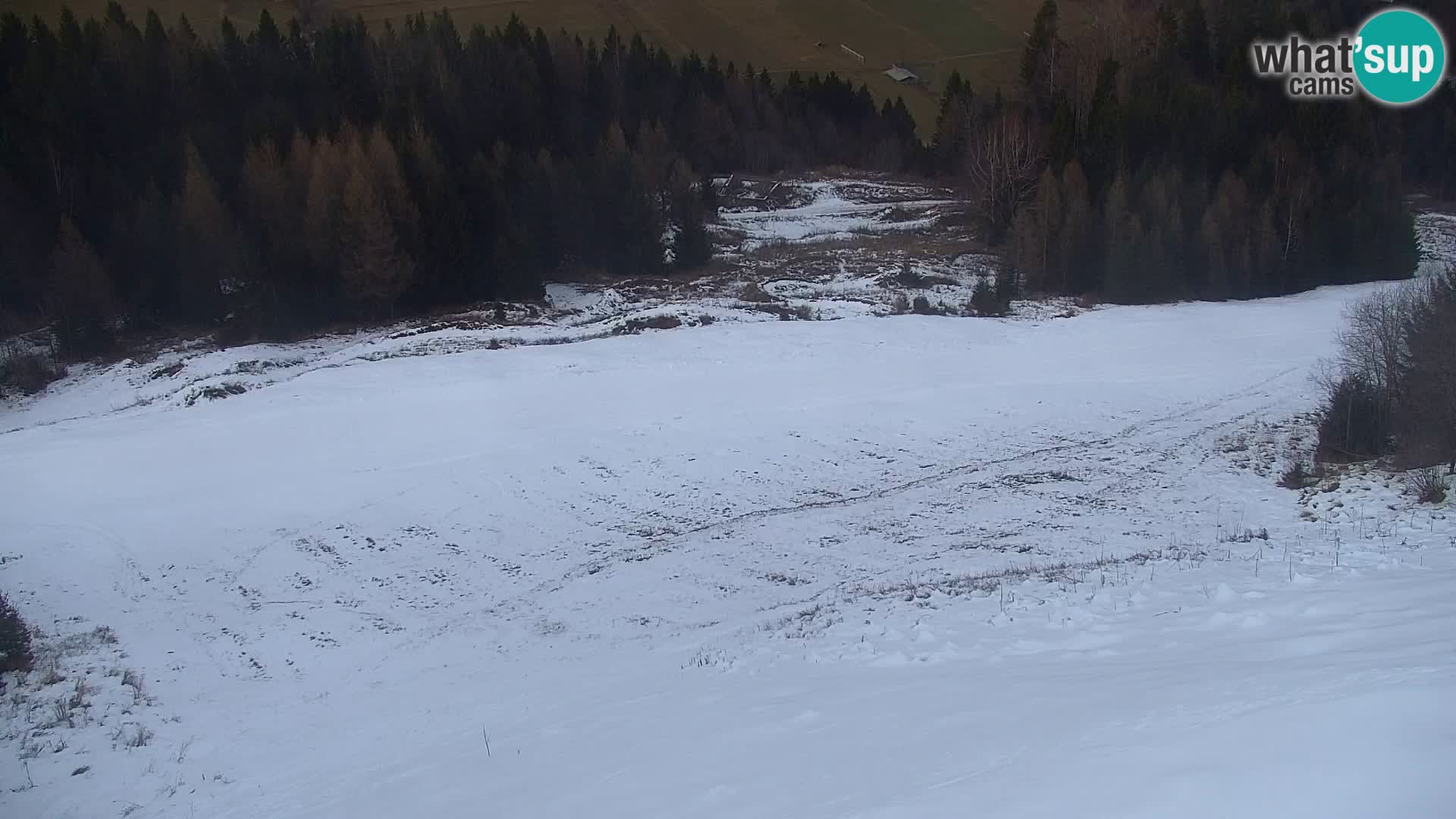 Kranjska Gora web kamera Vitranc | VITRANC 1 gornja postaja