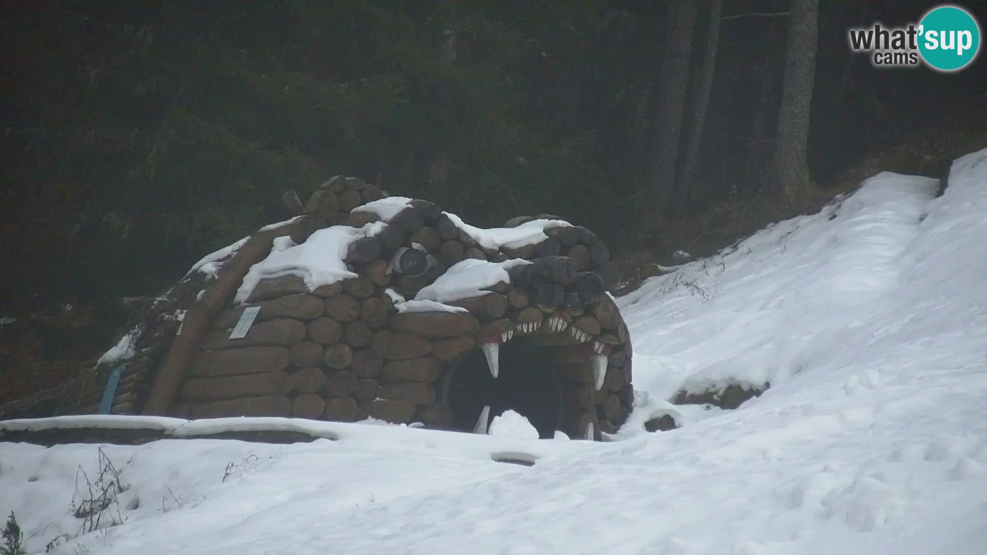 Vitranc Kranjska Gora webcam | VITRANC 1 stazione superiore