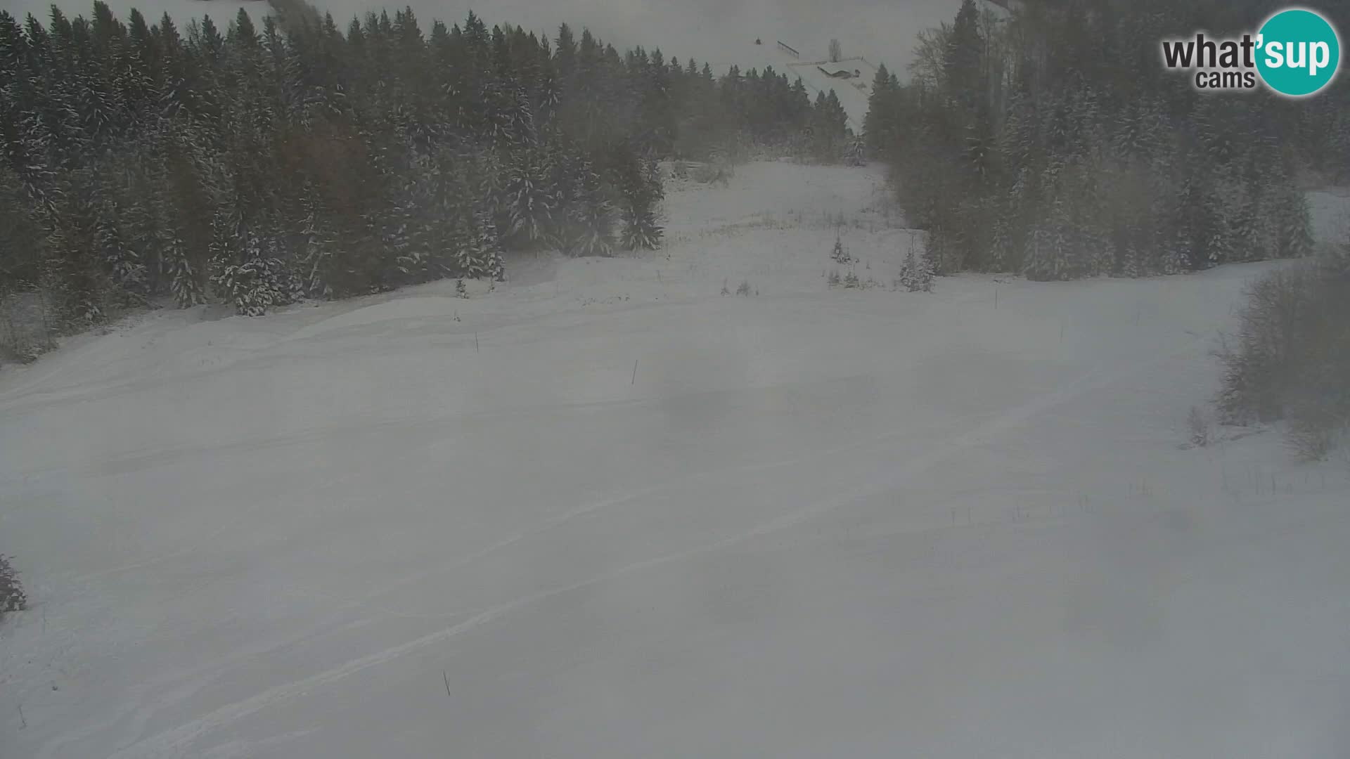 Vitranc Kranjska Gora webcam | VITRANC 1 stazione superiore