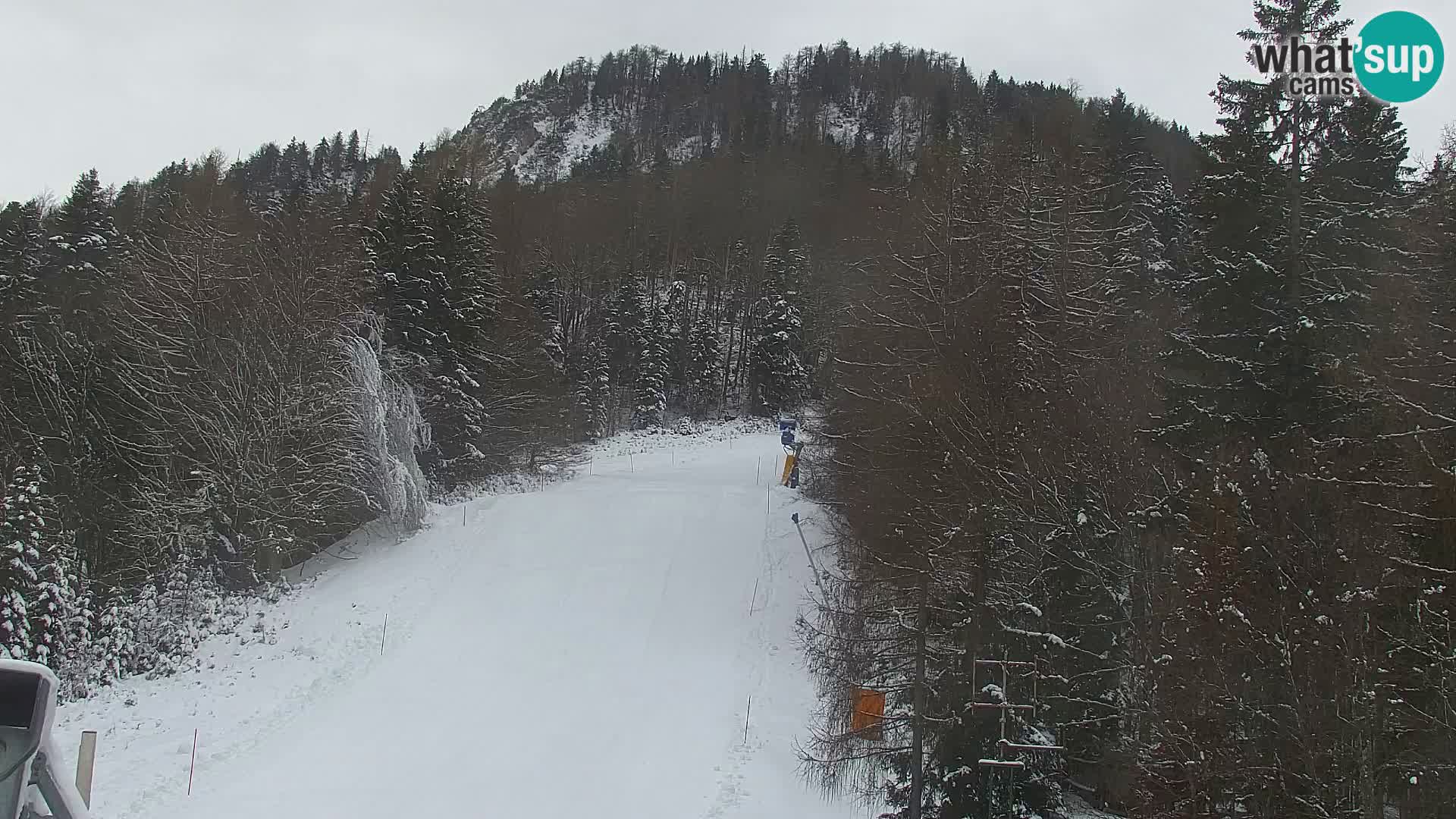 Kranjska Gora web kamera Vitranc | VITRANC 1 gornja postaja