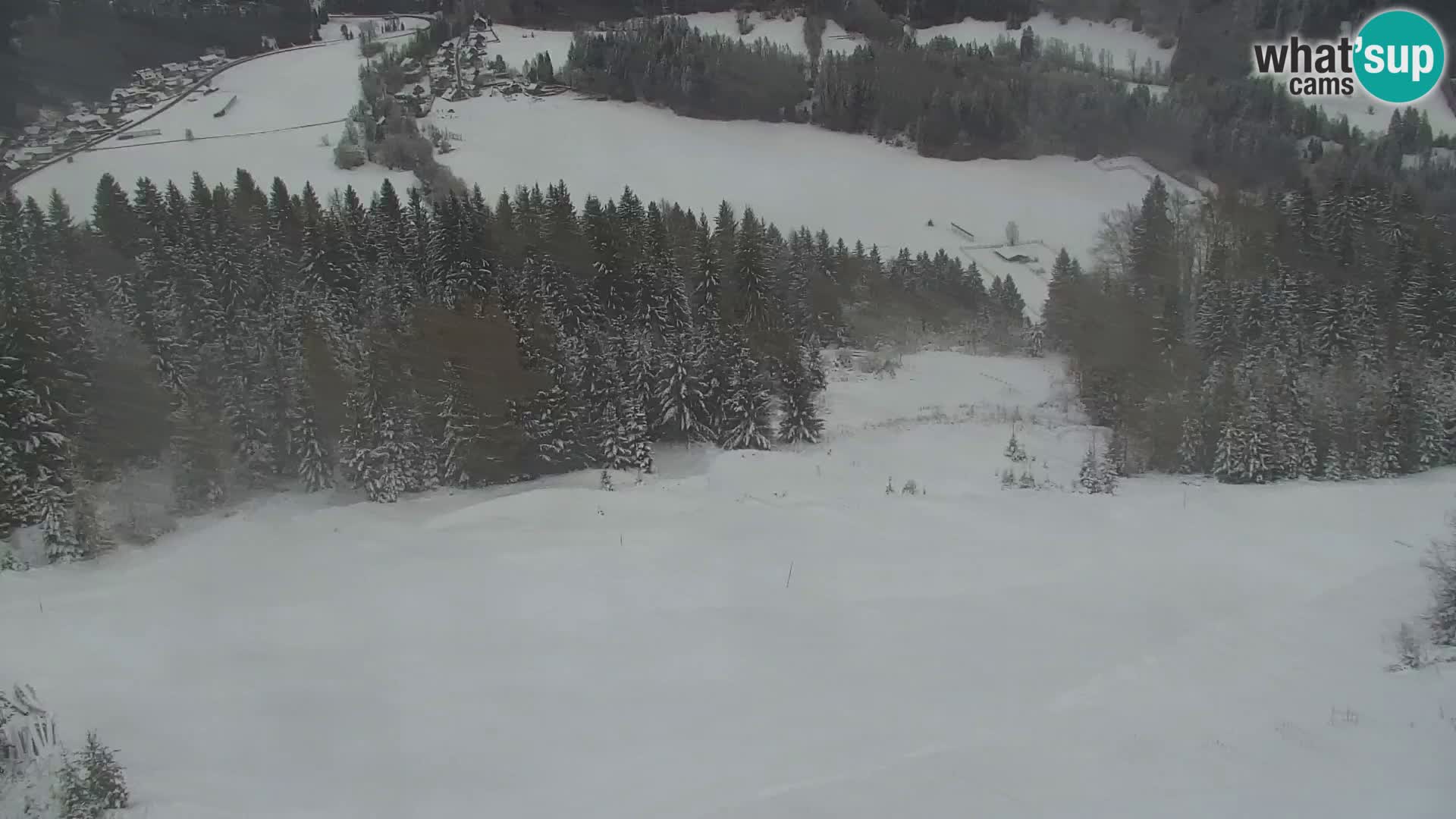 Vitranc Kranjska Gora webcam | VITRANC 1 stazione superiore