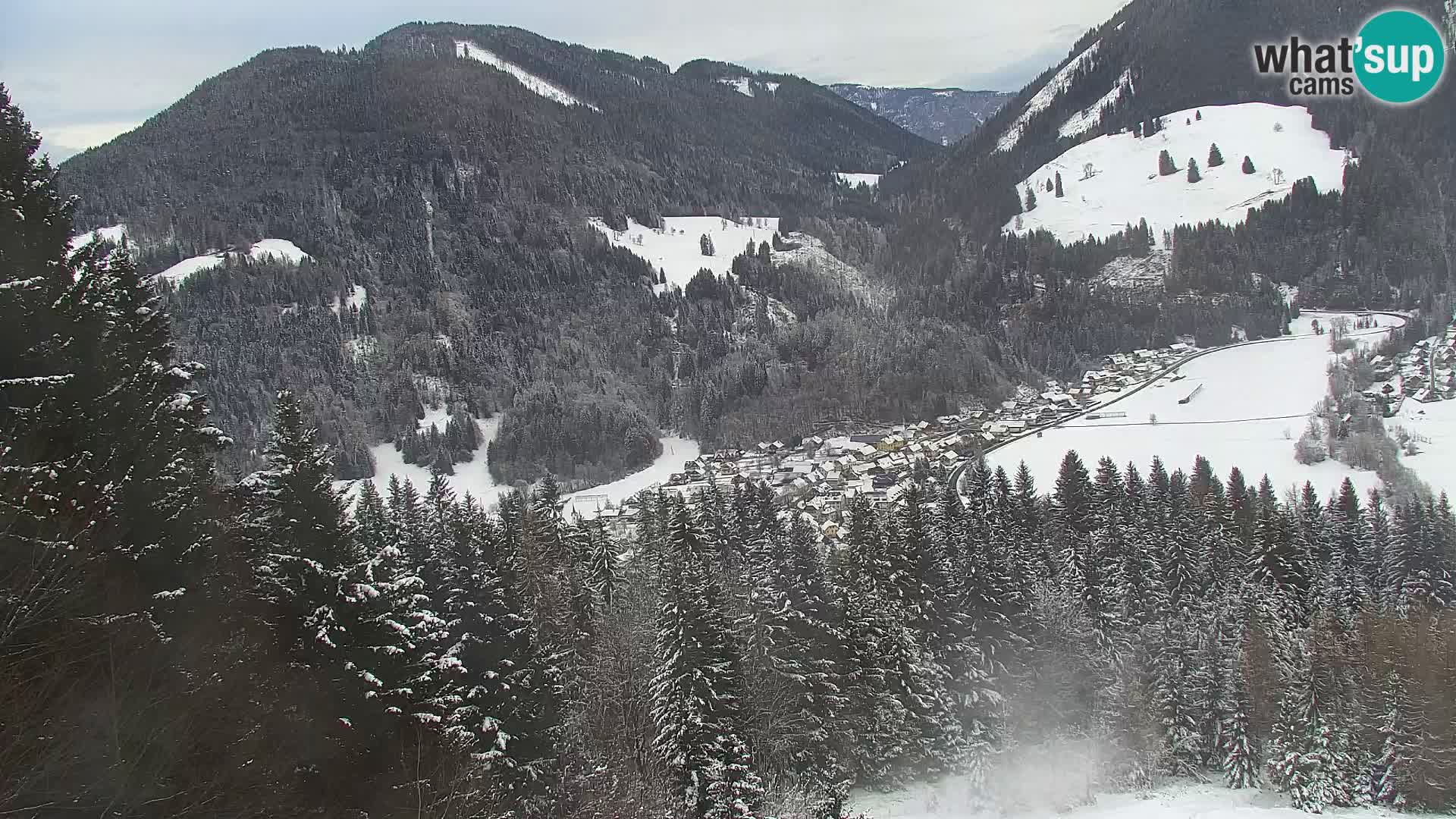 Vitranc Kranjska Gora webcam | VITRANC 1 stazione superiore