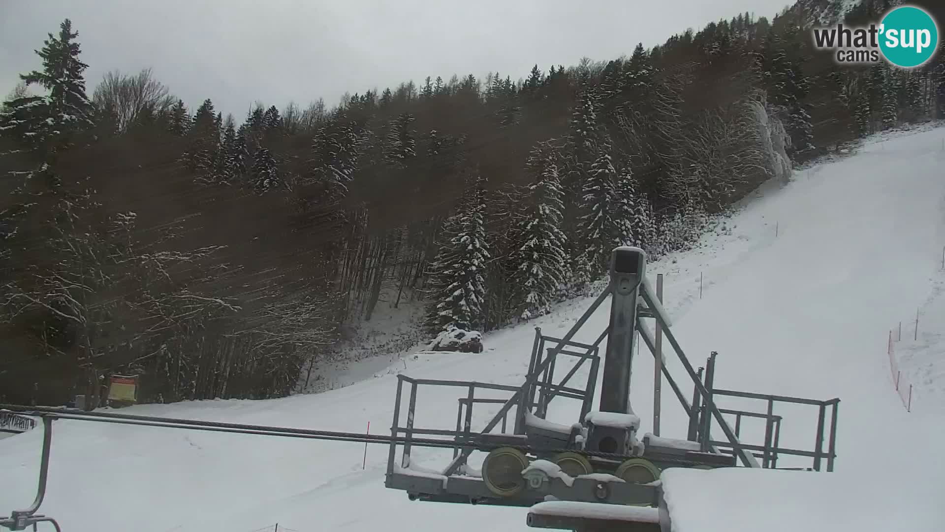 Kranjska Gora livecam VITRANC 1 | estación superior