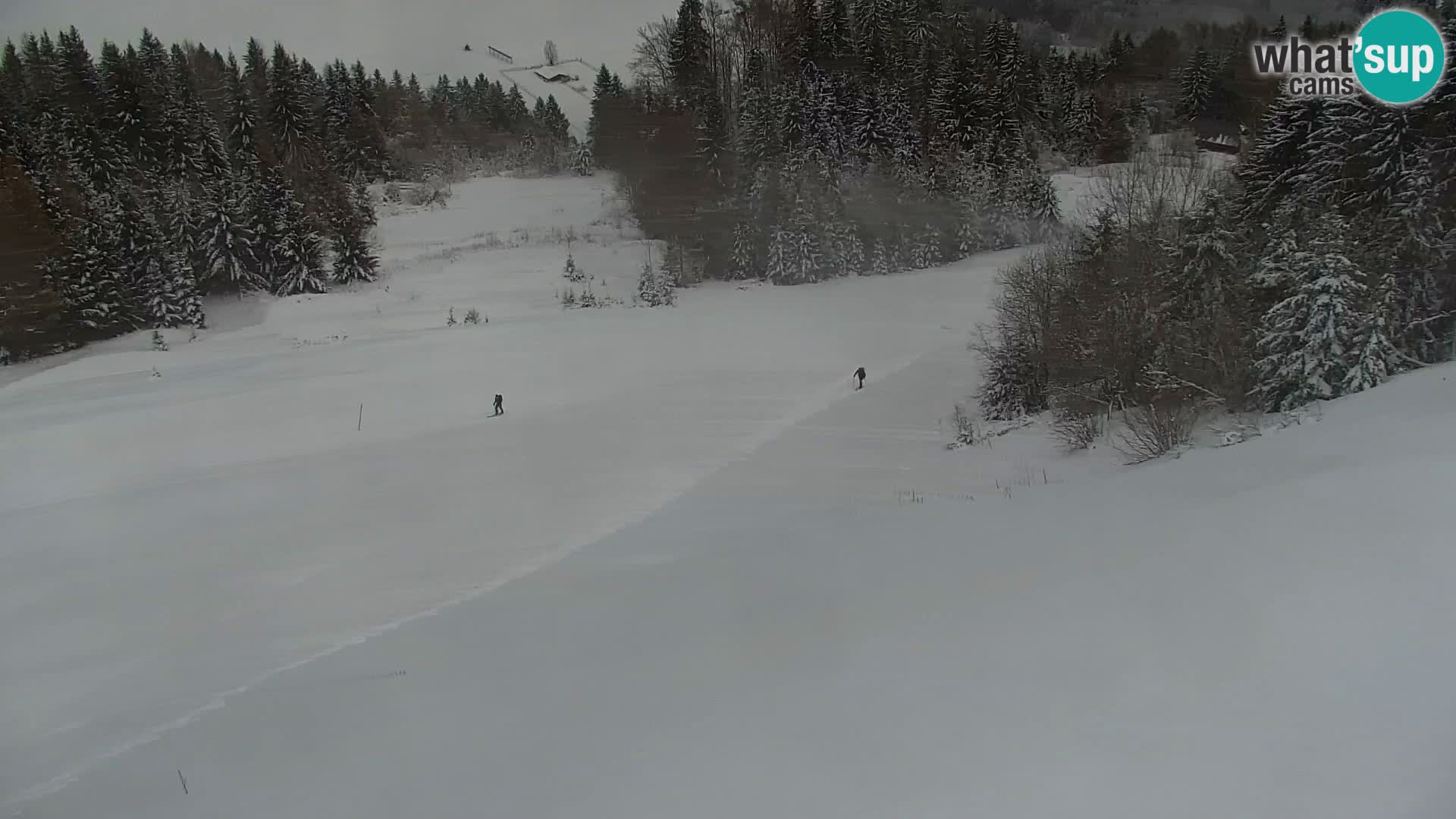 Vitranc Kranjska Gora webcam | VITRANC 1 stazione superiore