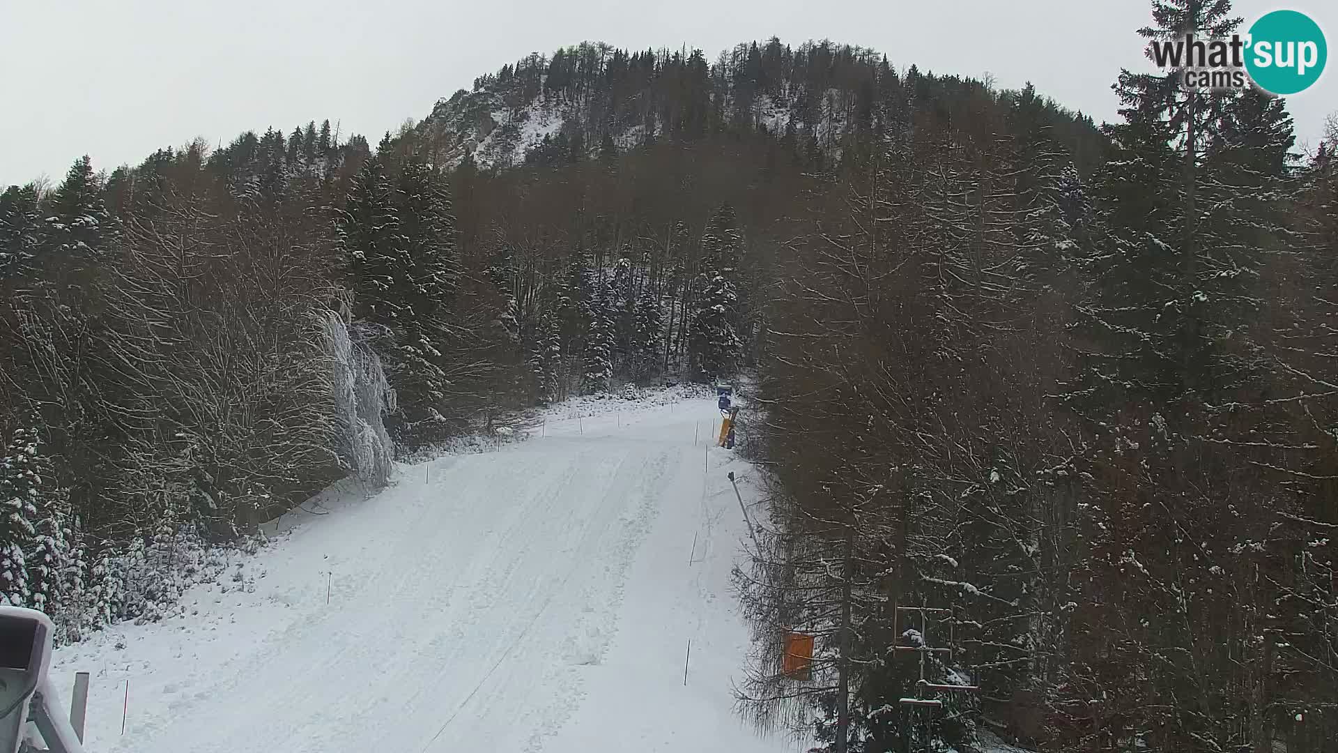 Vitranc Kranjska Gora webcam | VITRANC 1 stazione superiore