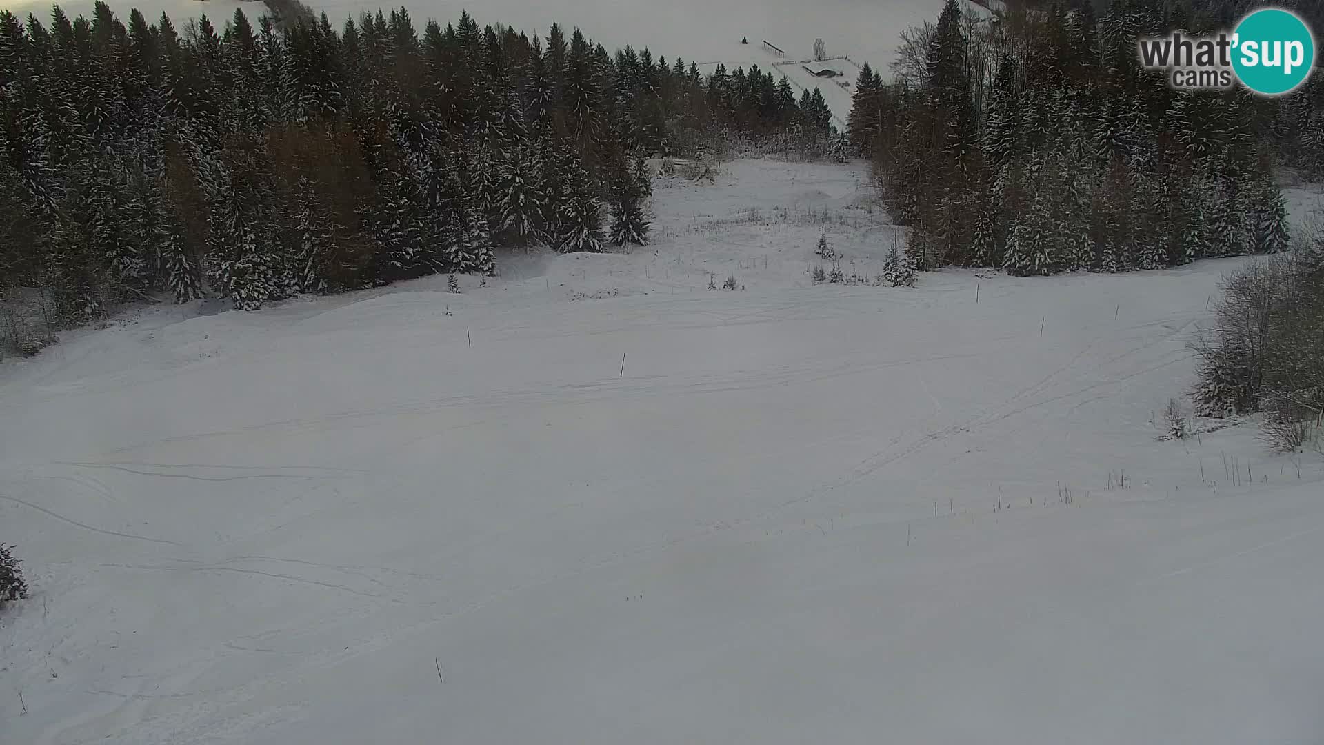 Kranjska Gora kamera VITRANC 1 | Zgornja postaja